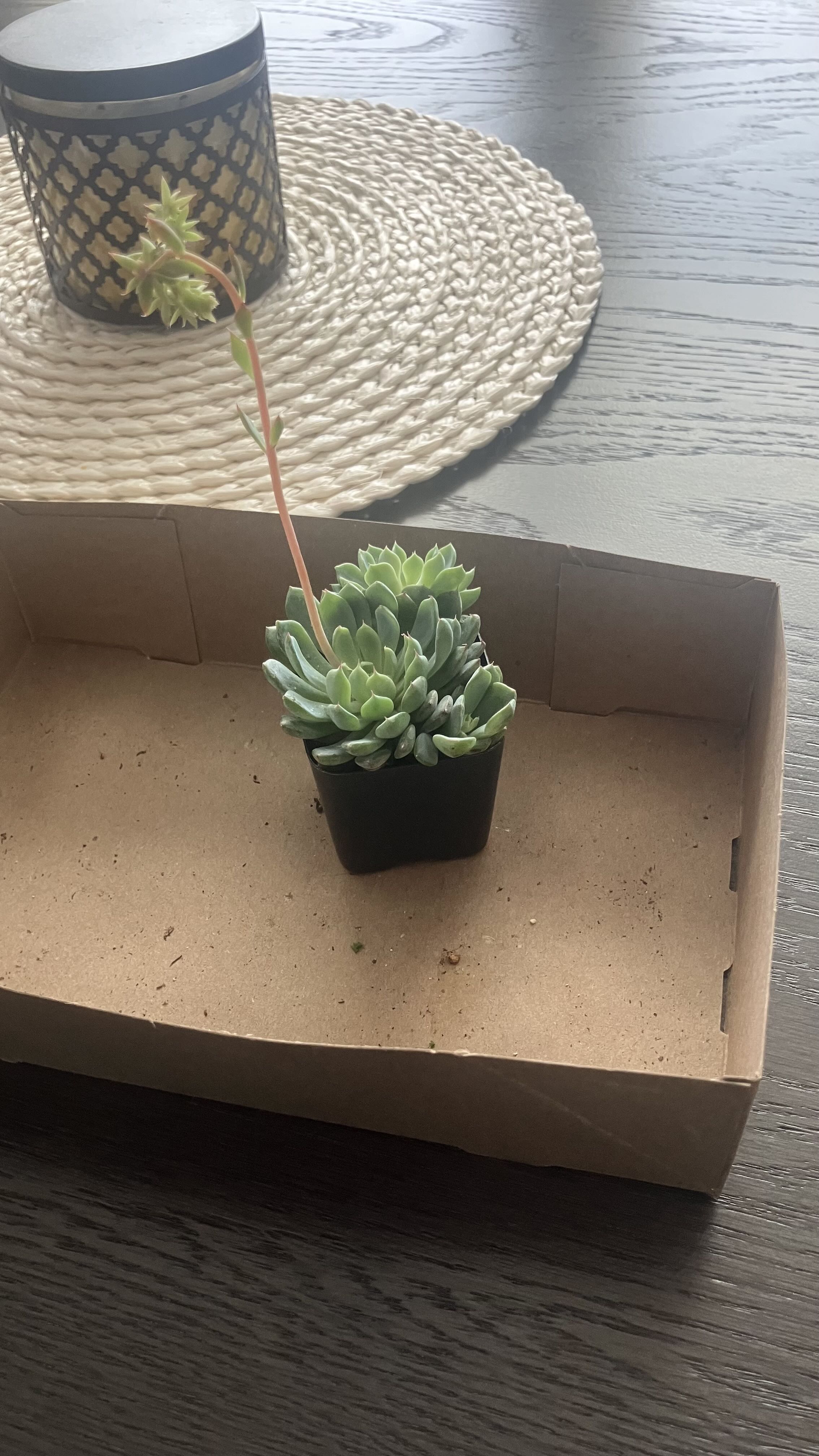 Photo from the post