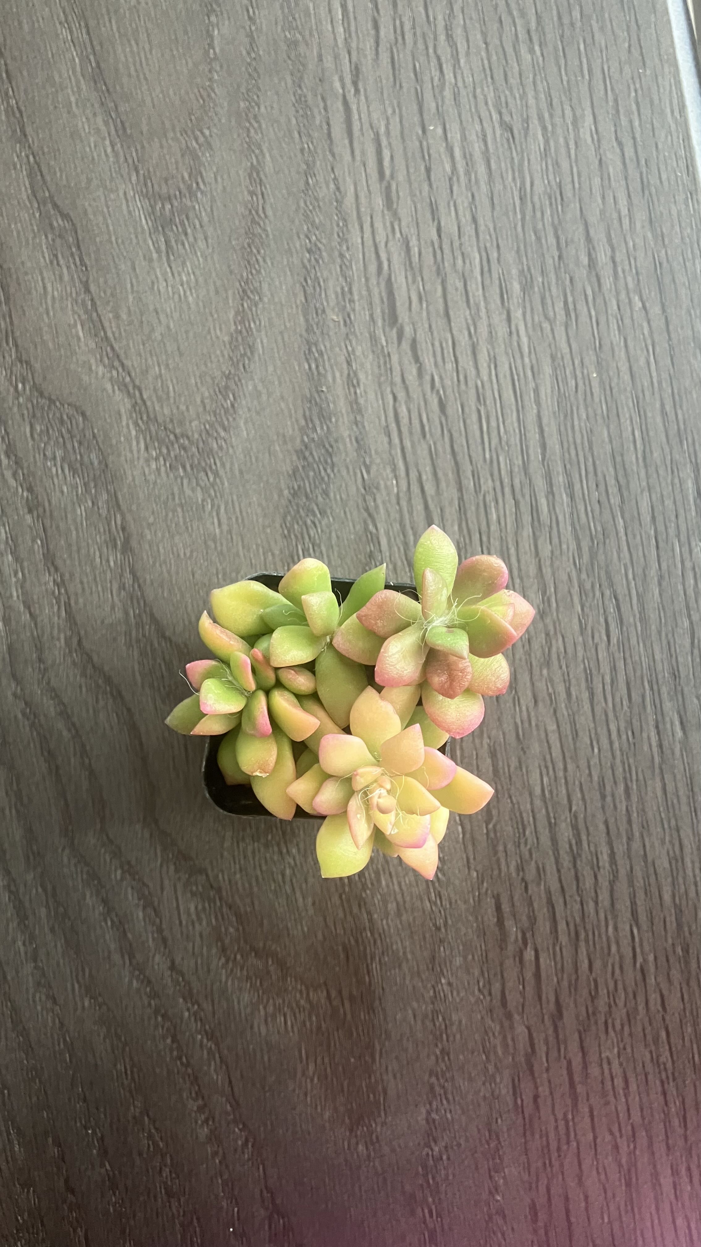 Photo from the post