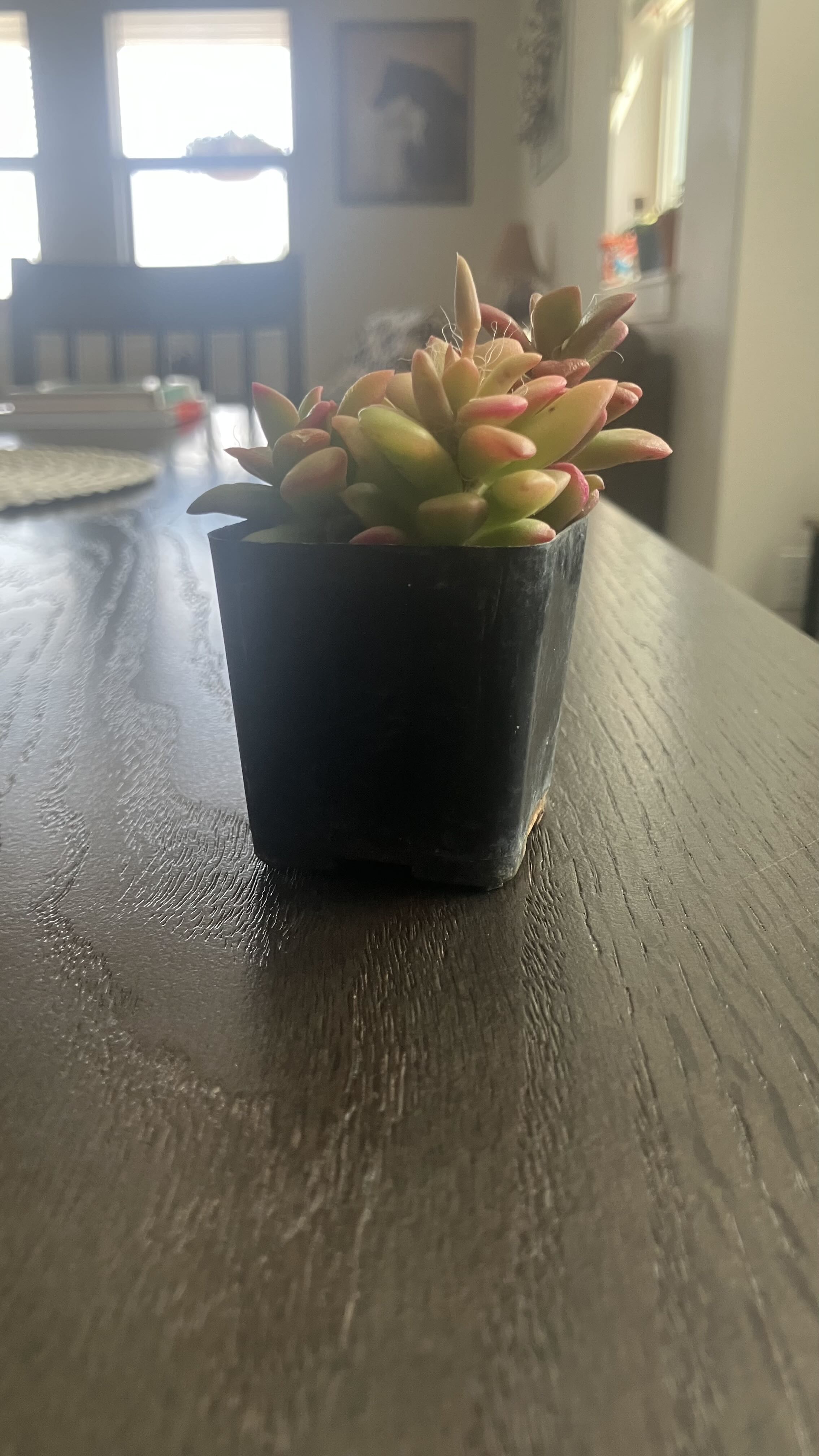 Photo from the post