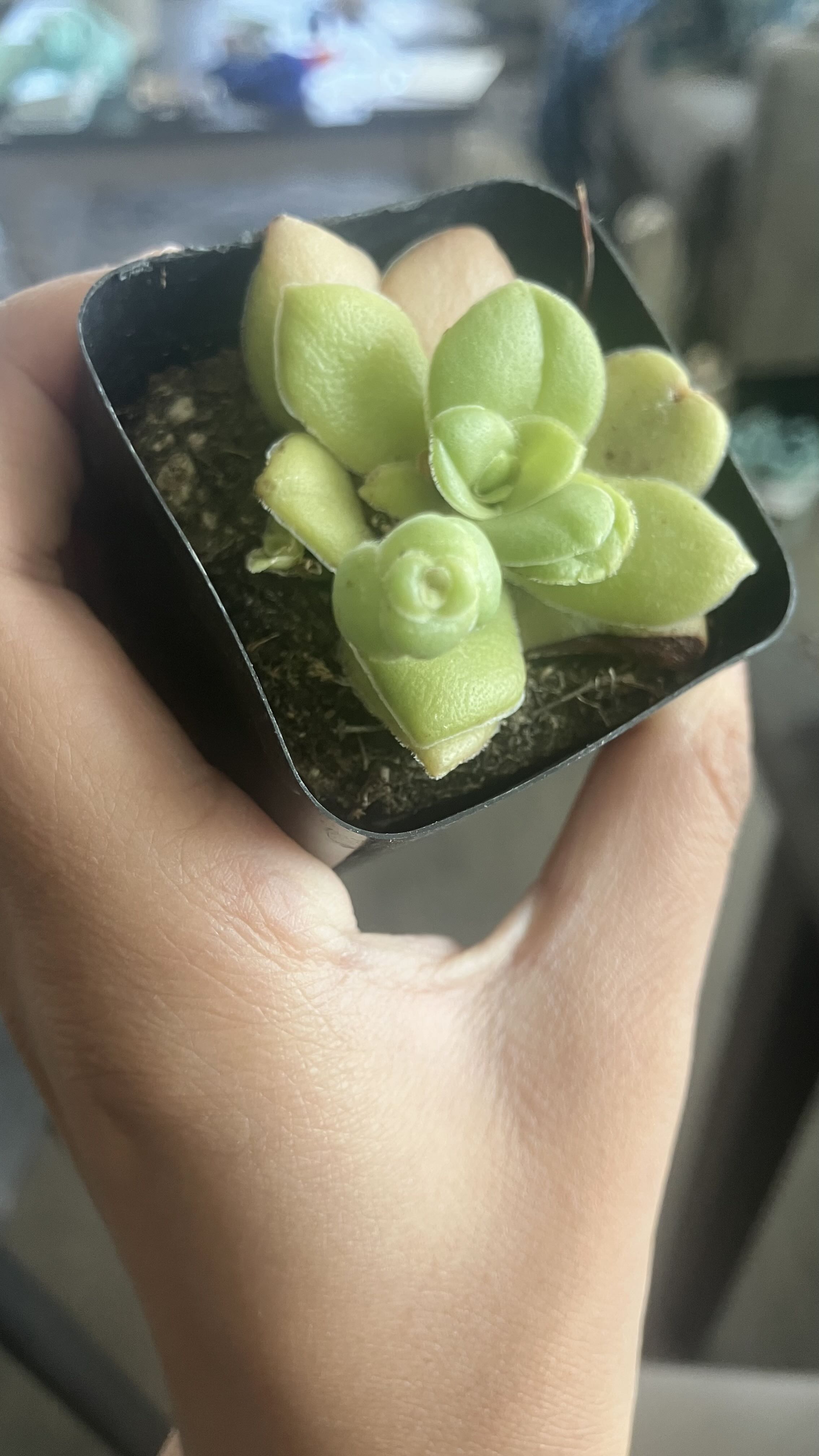 Photo from the post
