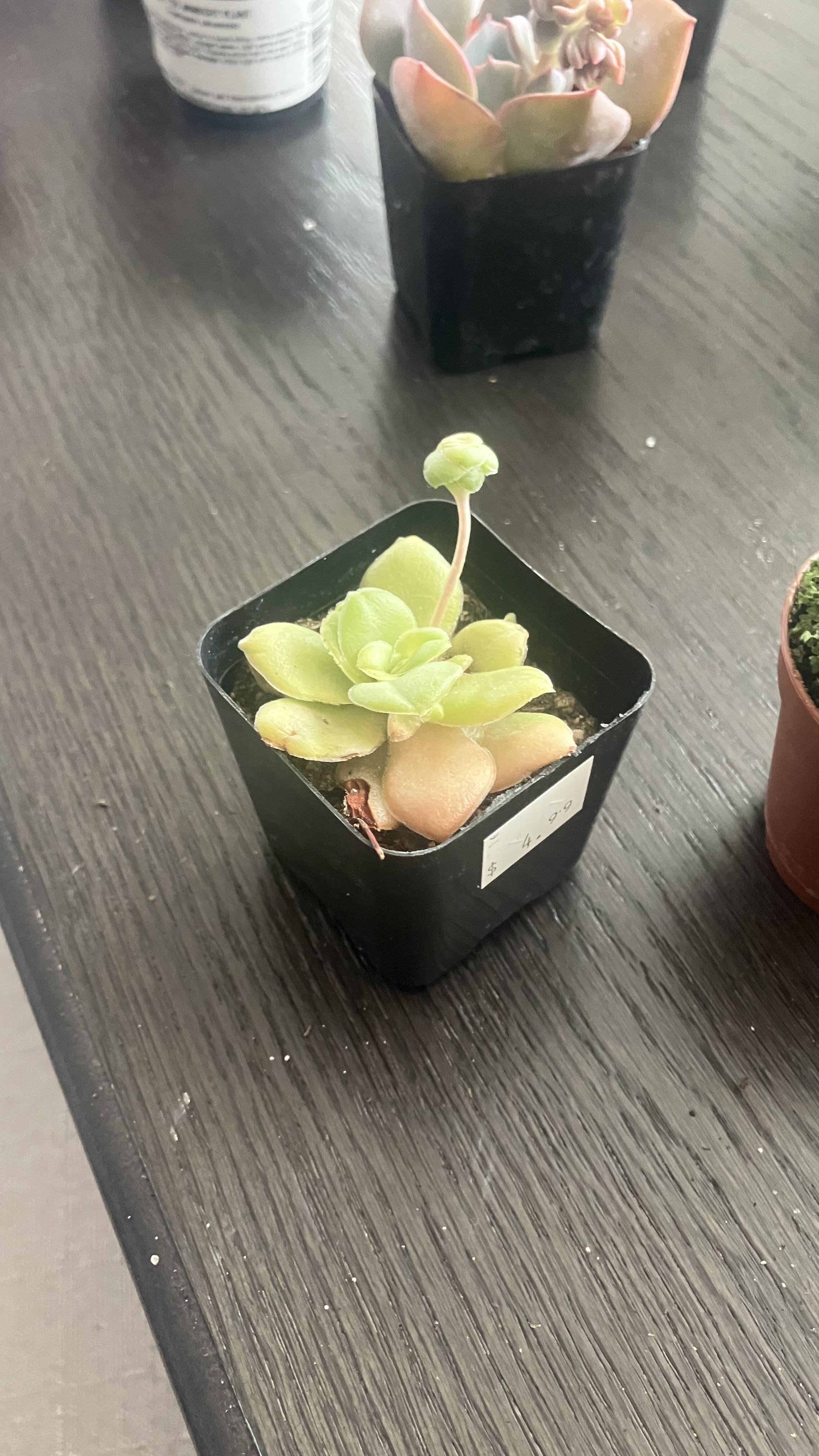 Photo from the post