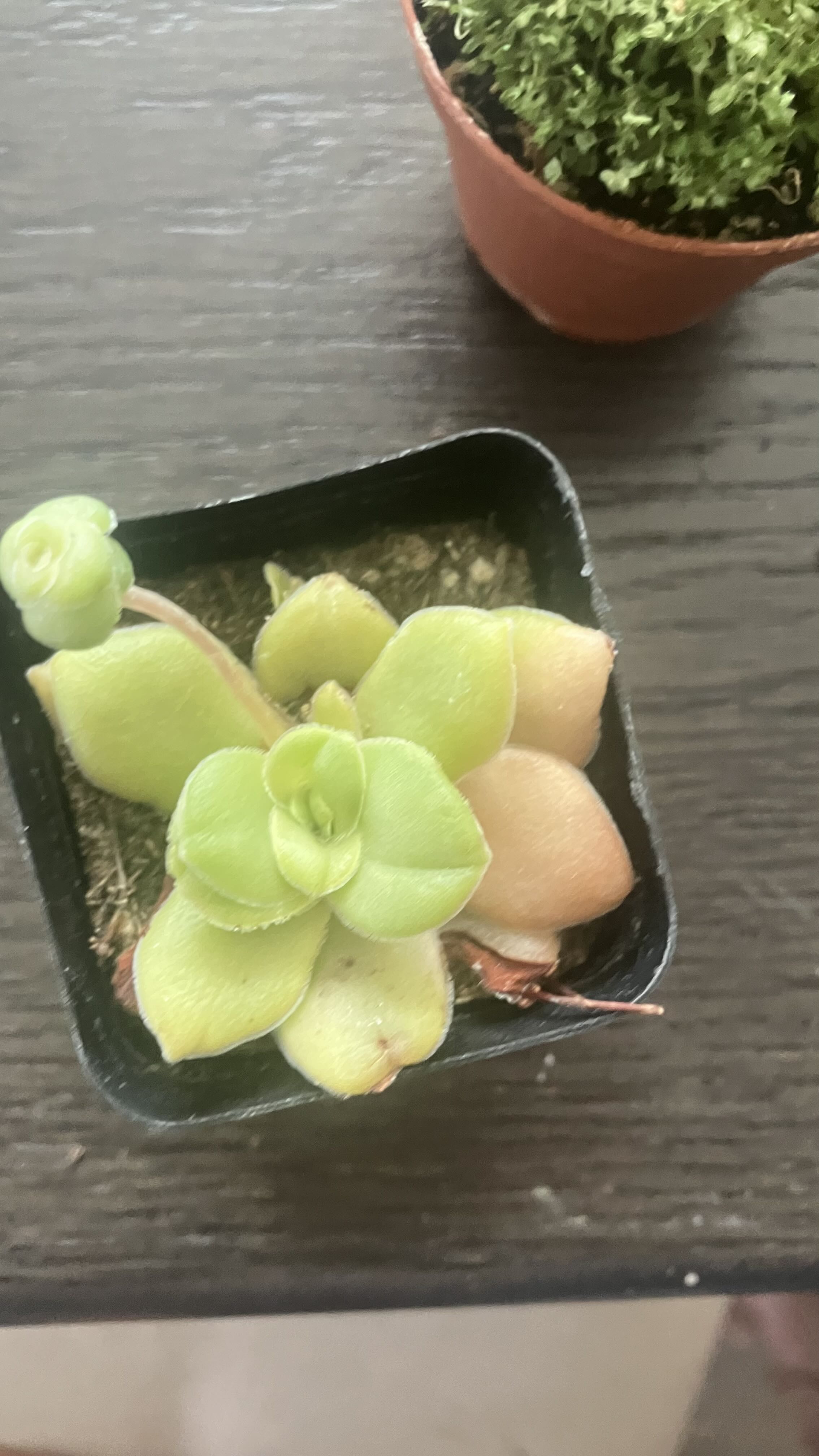 Photo from the post