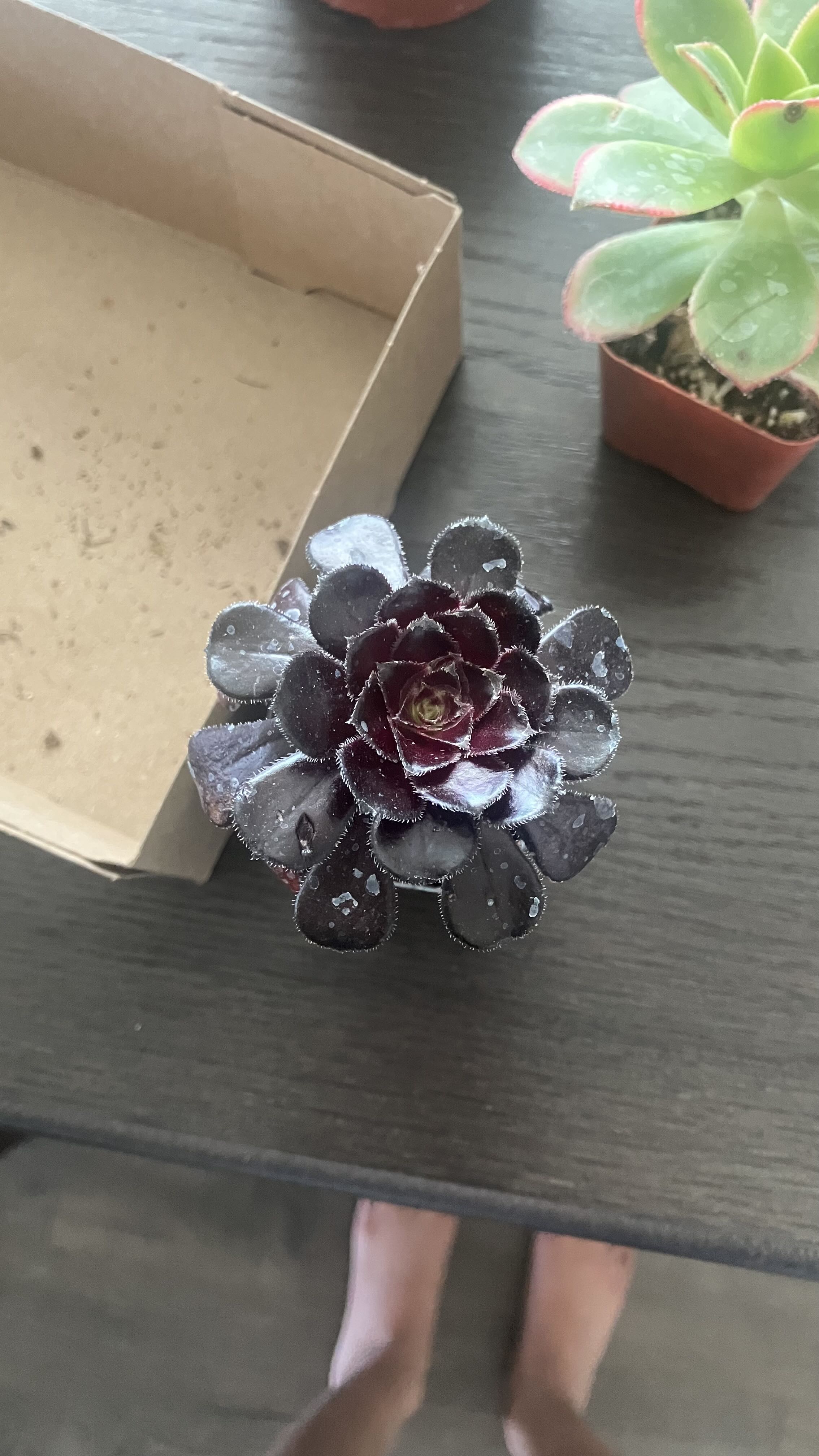 Photo from the post