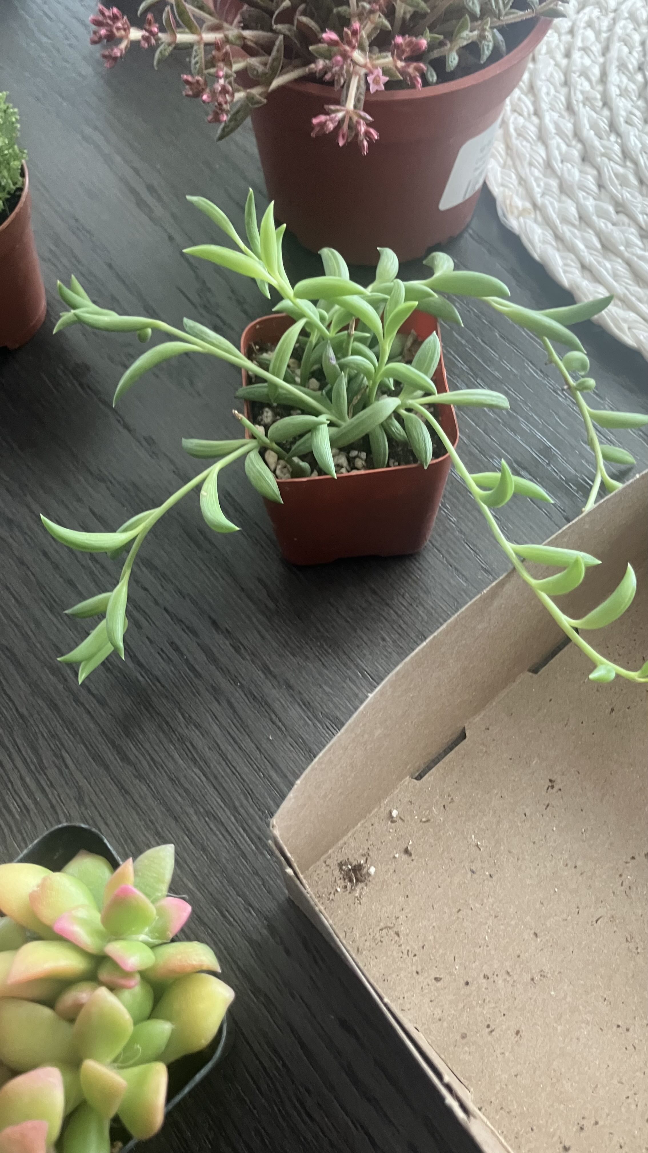 Photo from the post