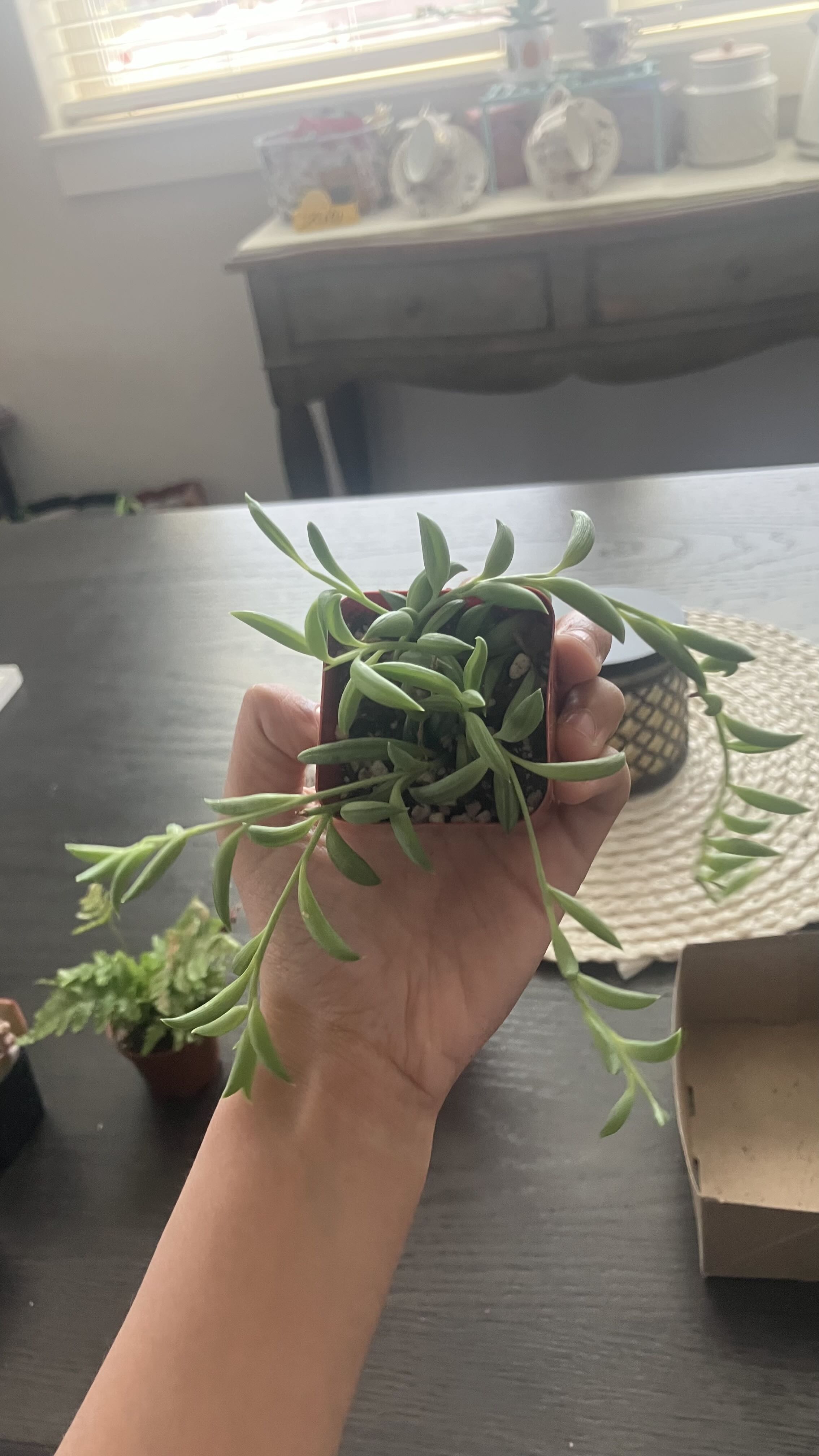 Photo from the post