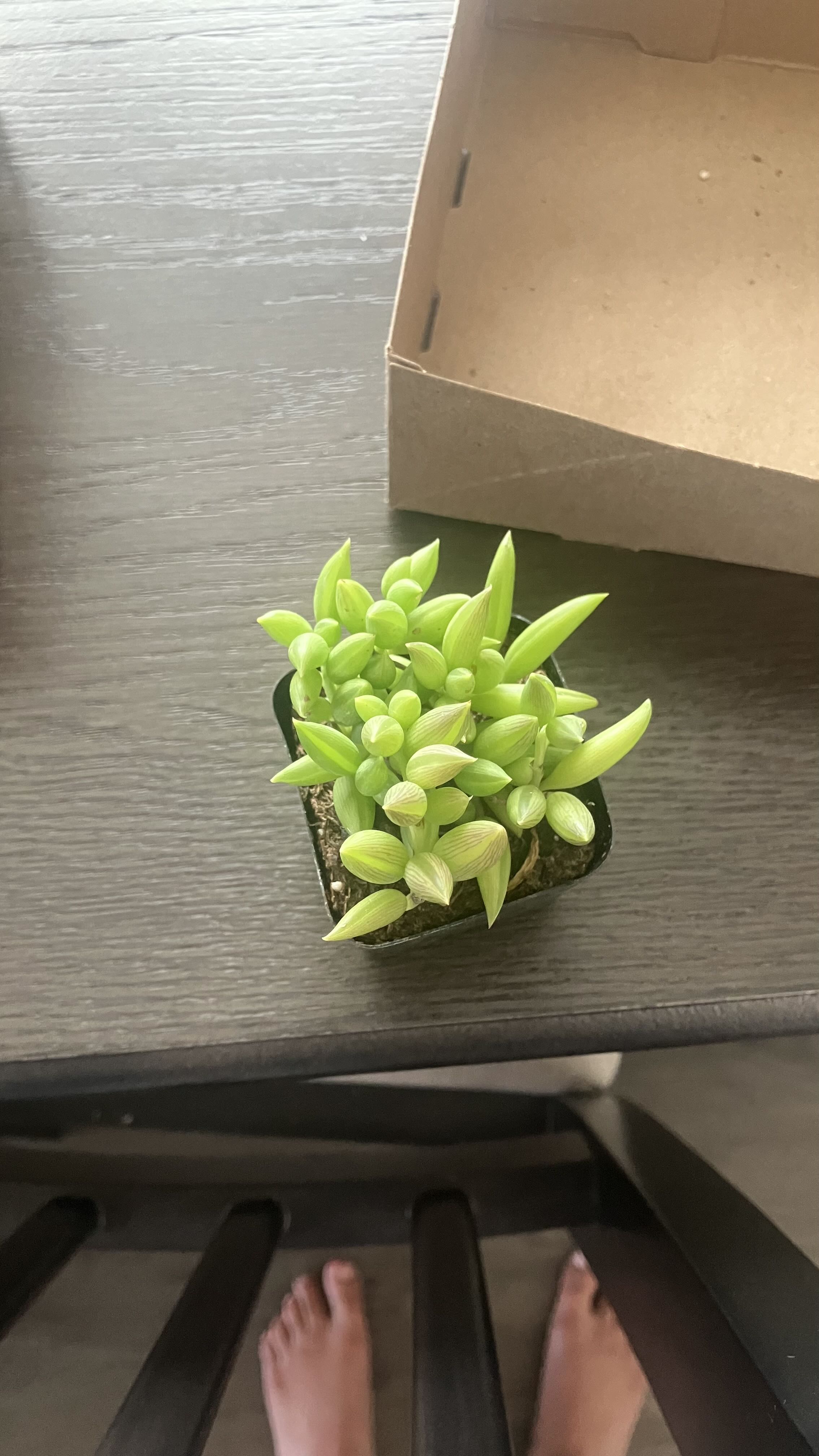 Photo from the post