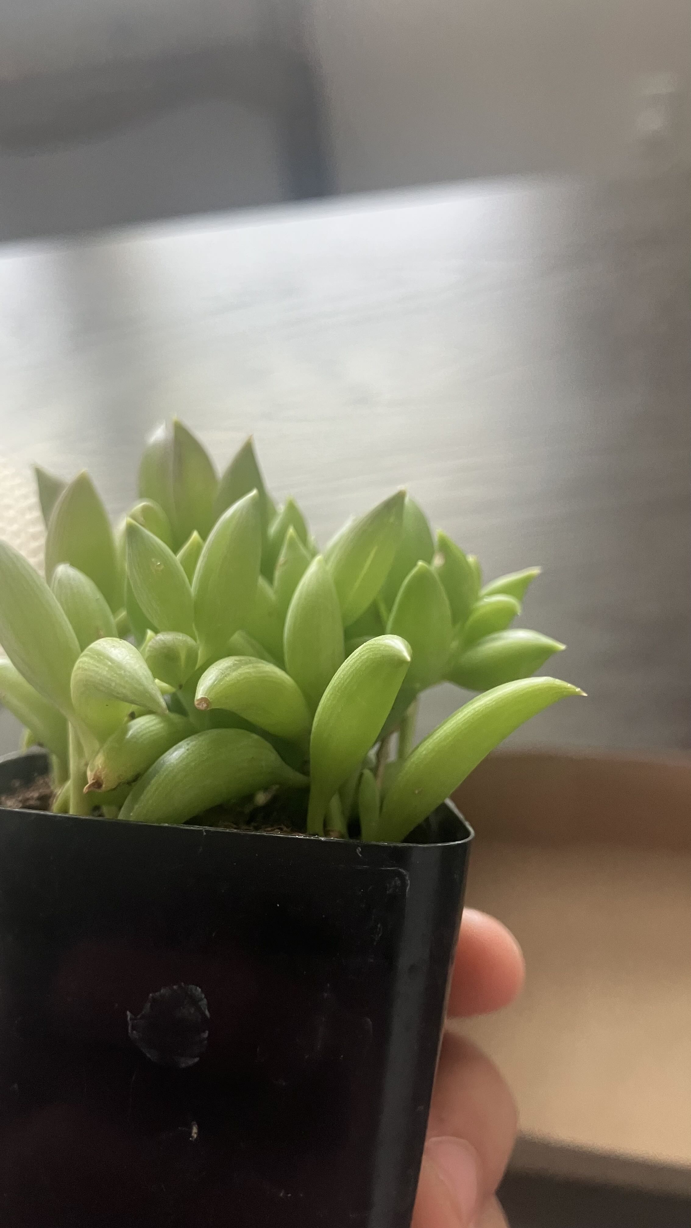 Photo from the post