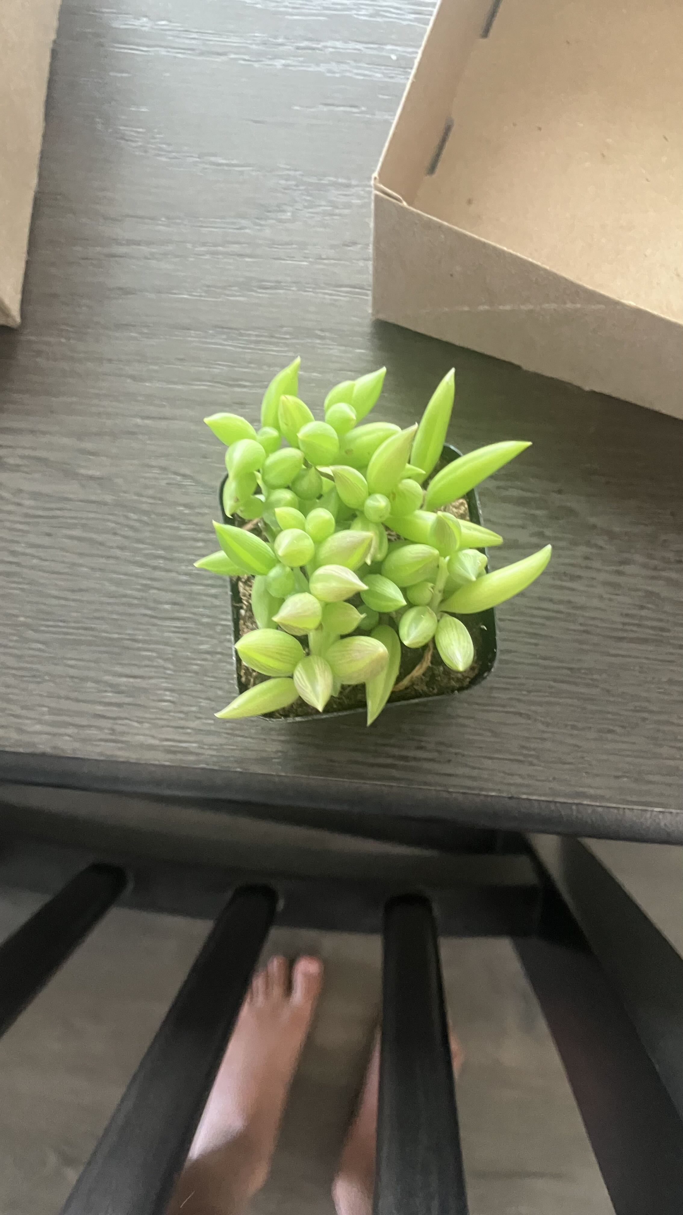 Photo from the post