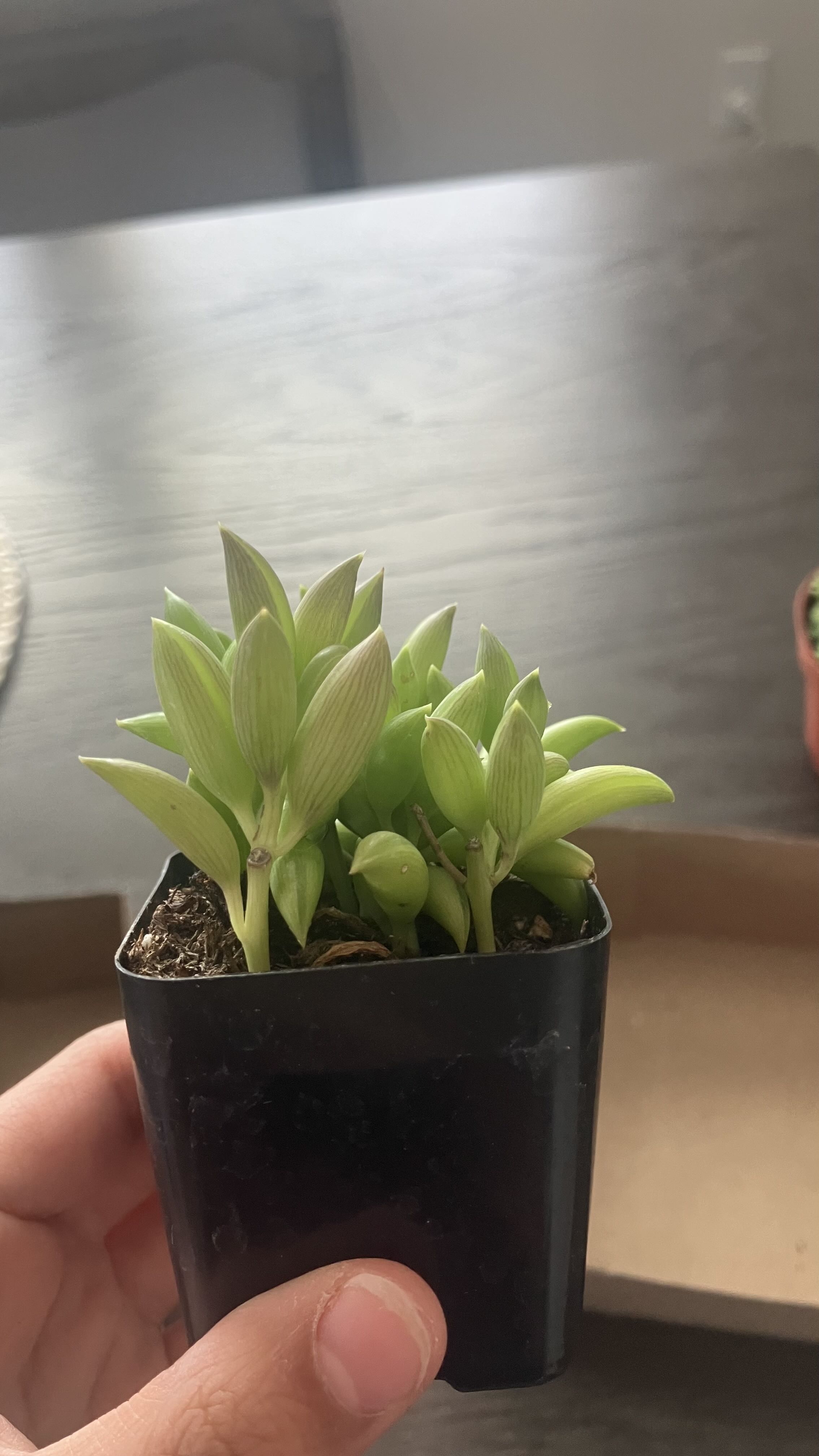 Photo from the post