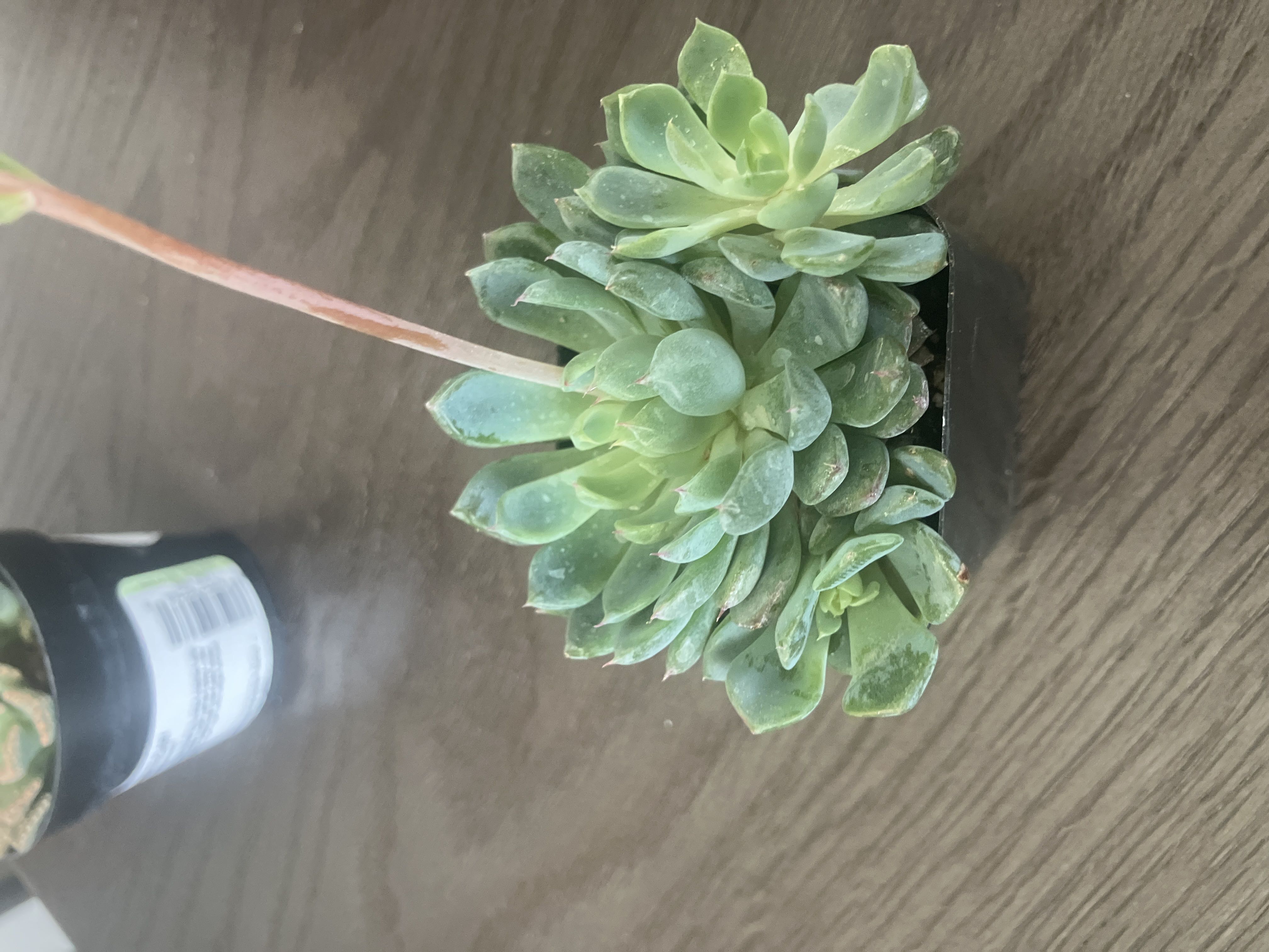Photo from the post