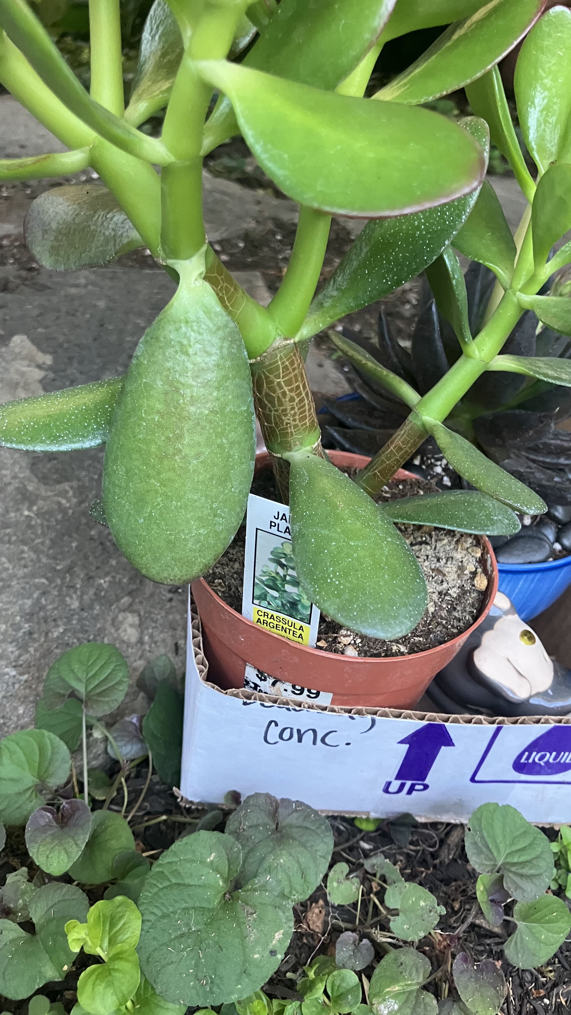 Photo from the post