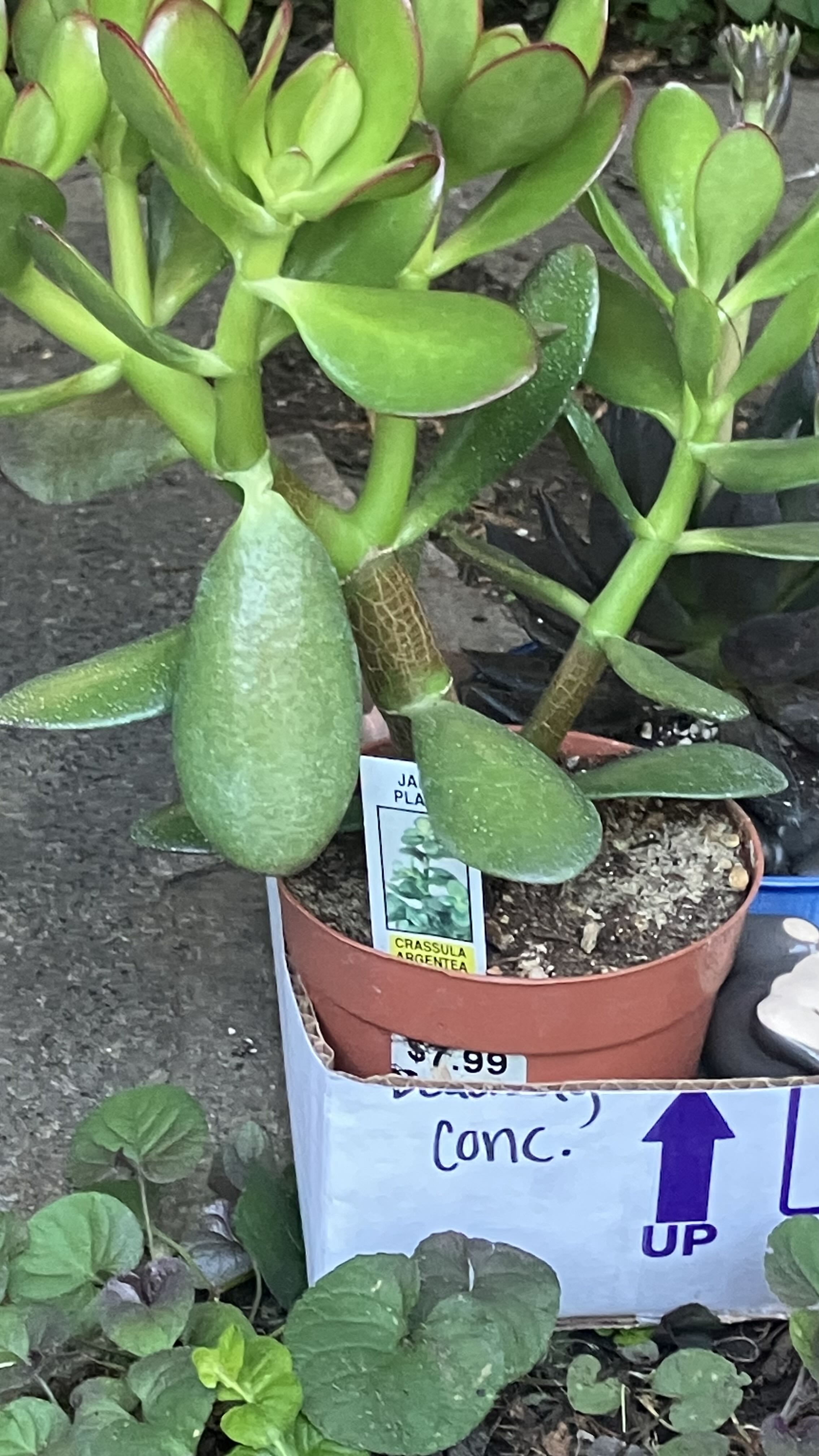 Photo from the post