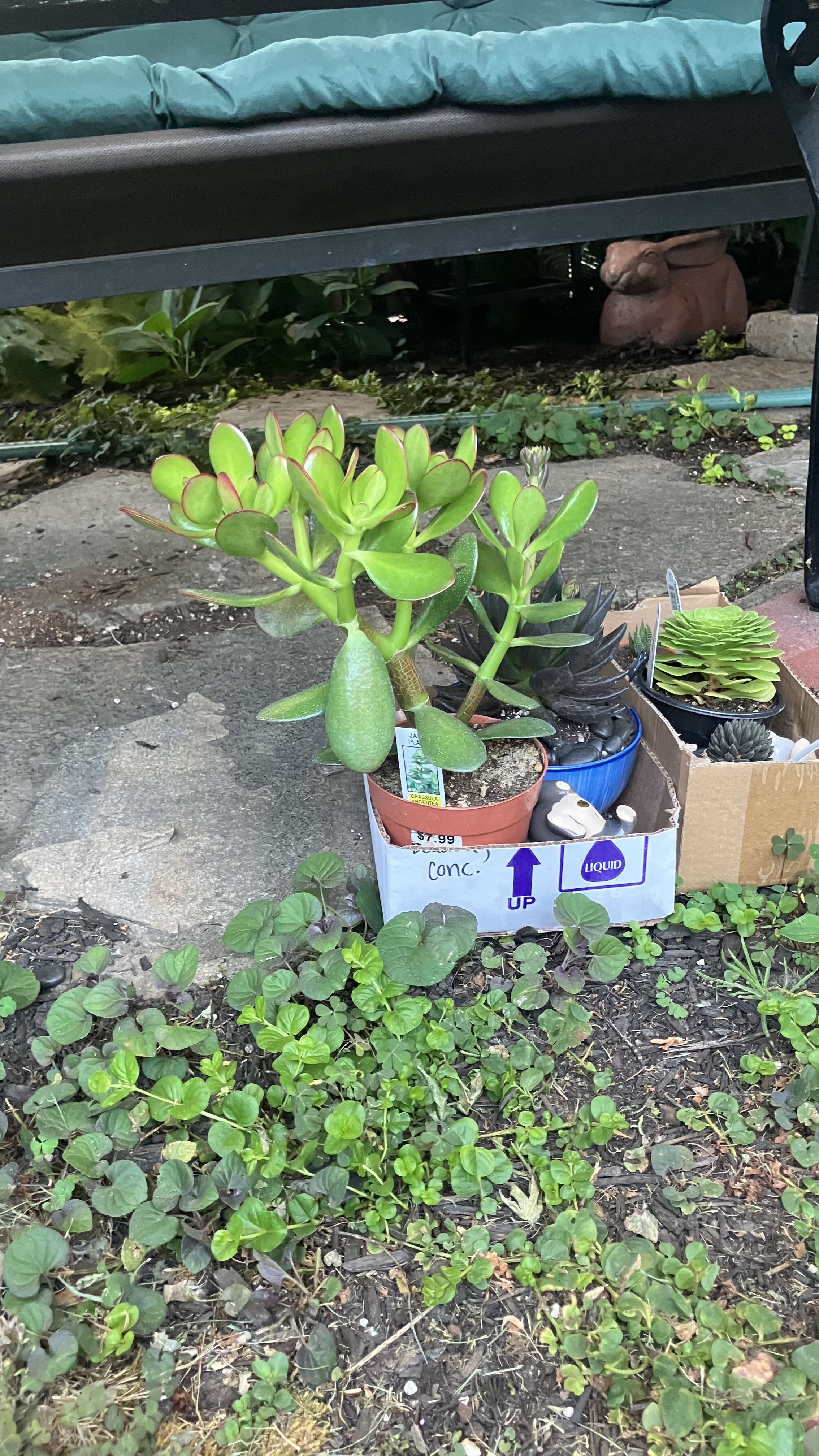 Photo from the post