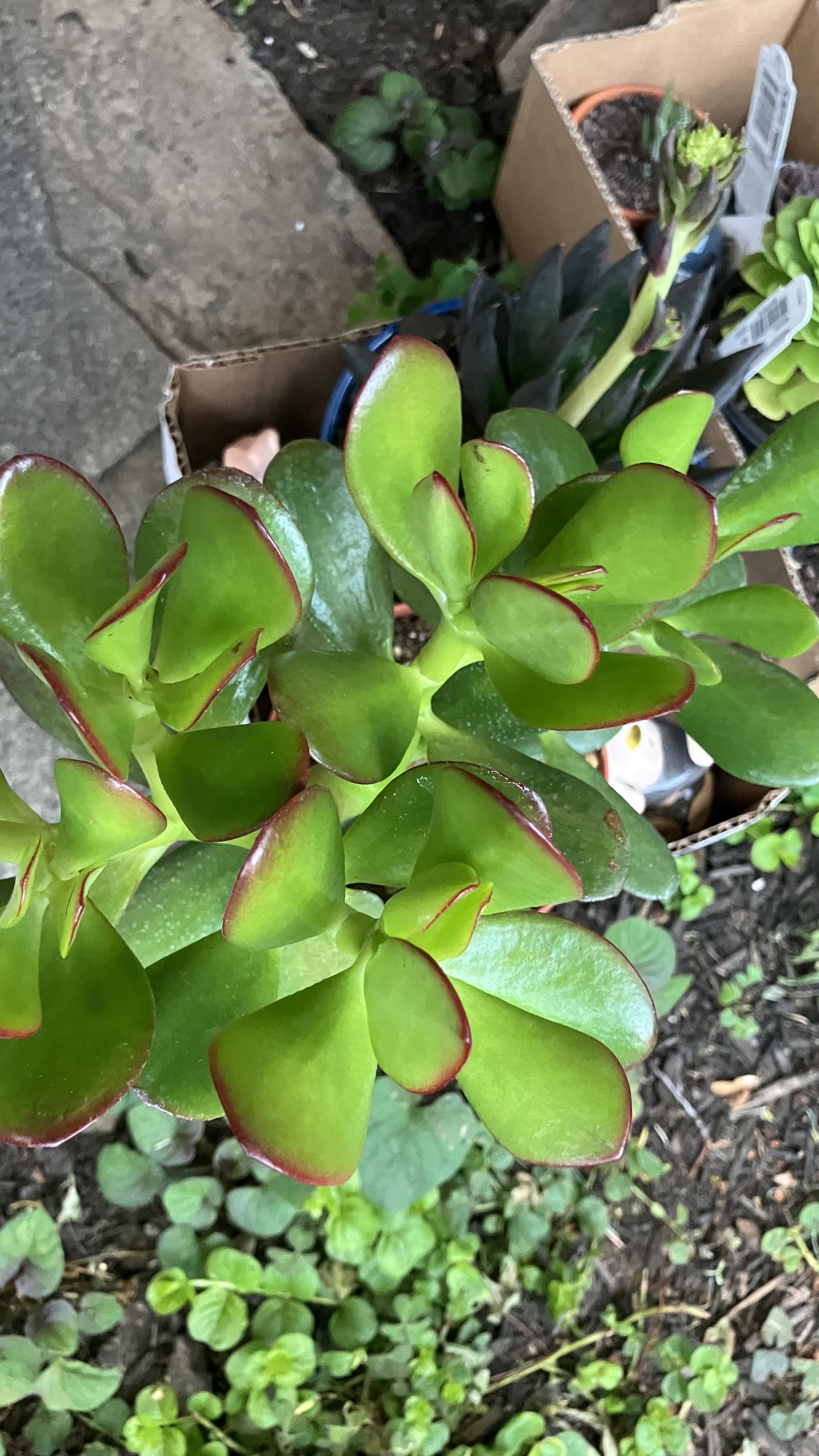 Photo from the post