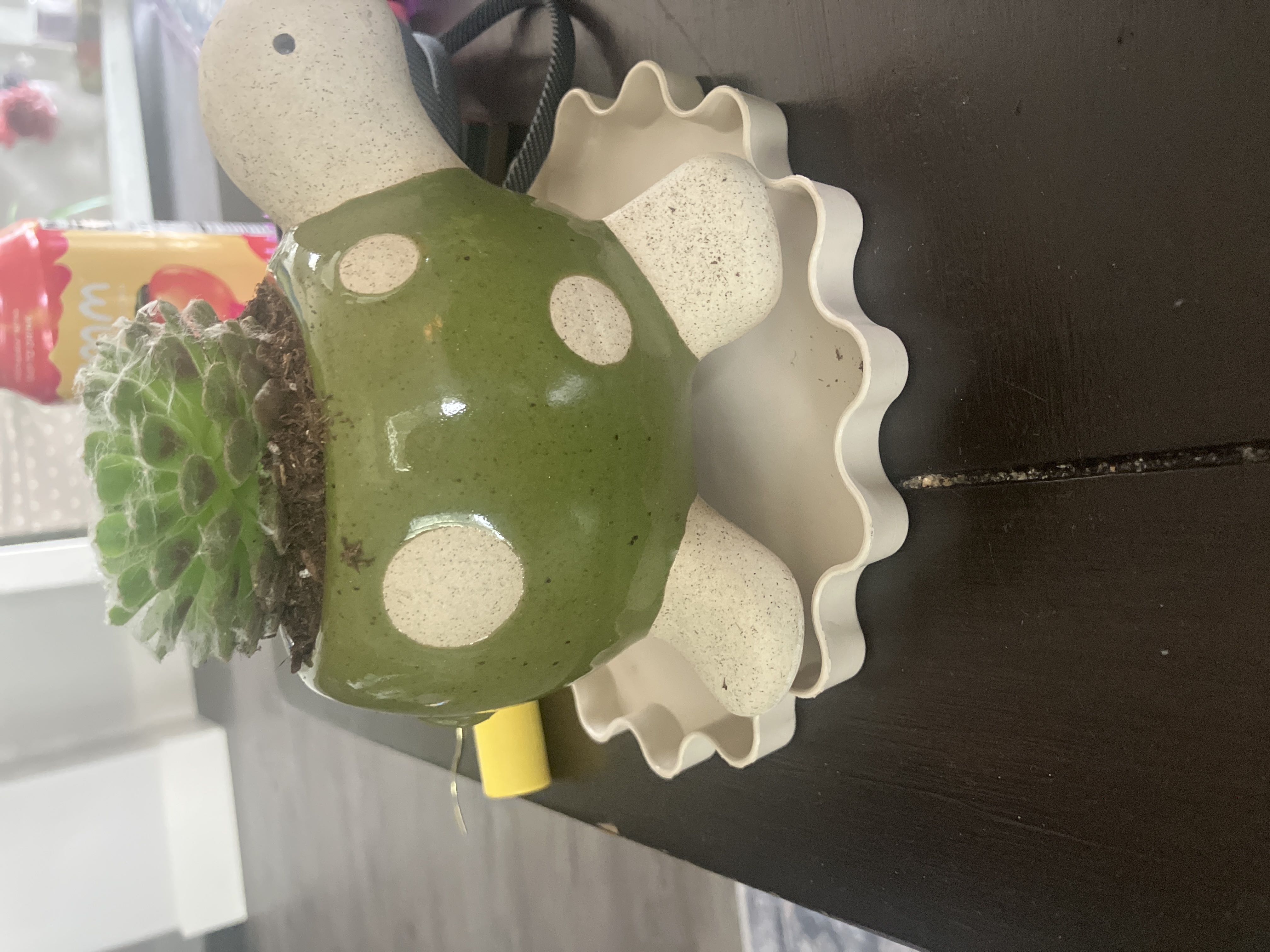 Photo from the post