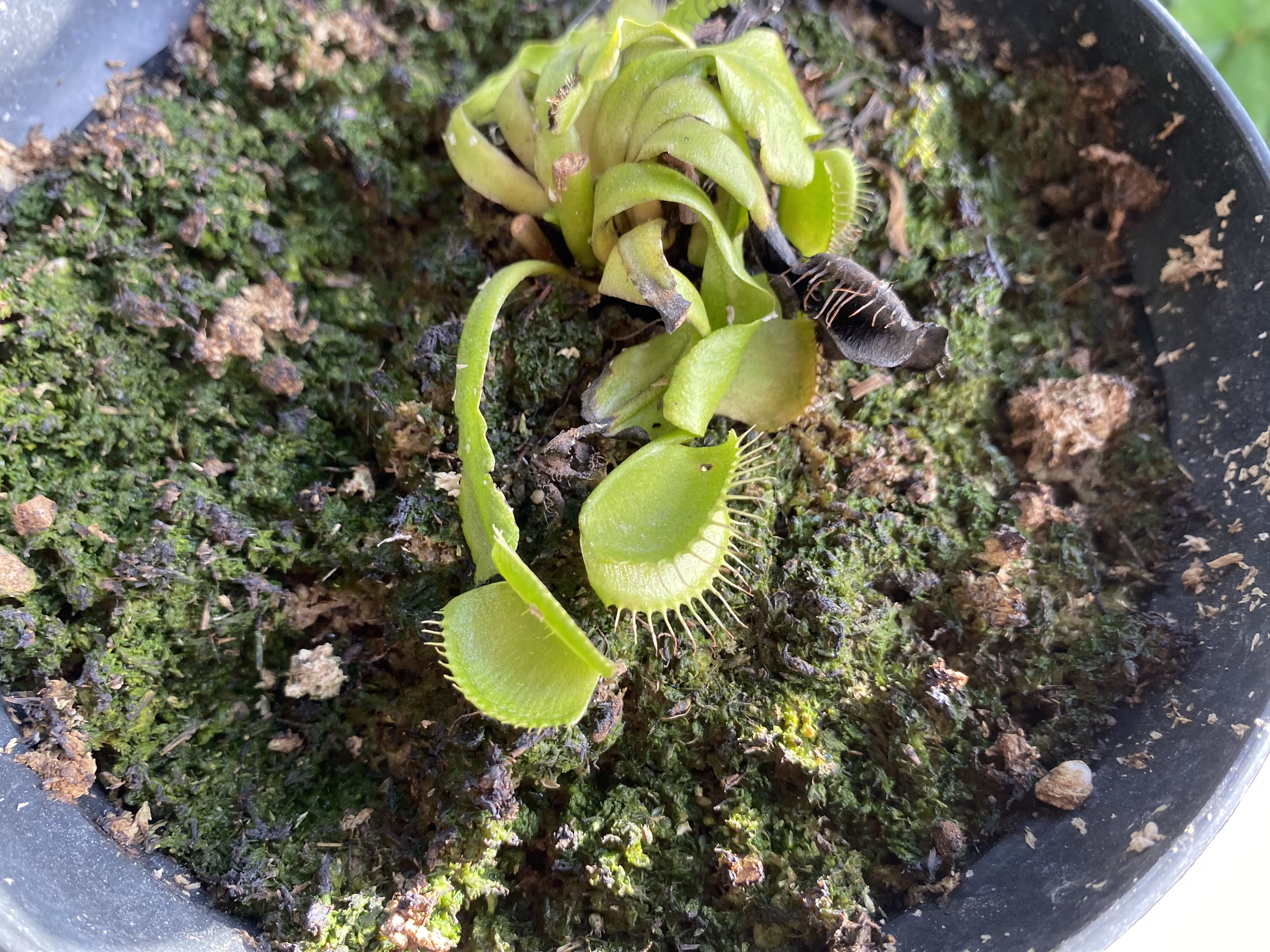 Photo from the post