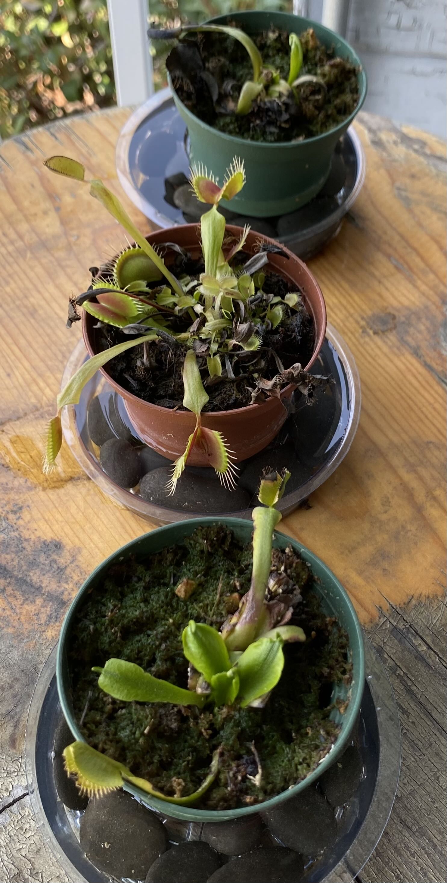 Photo from the post