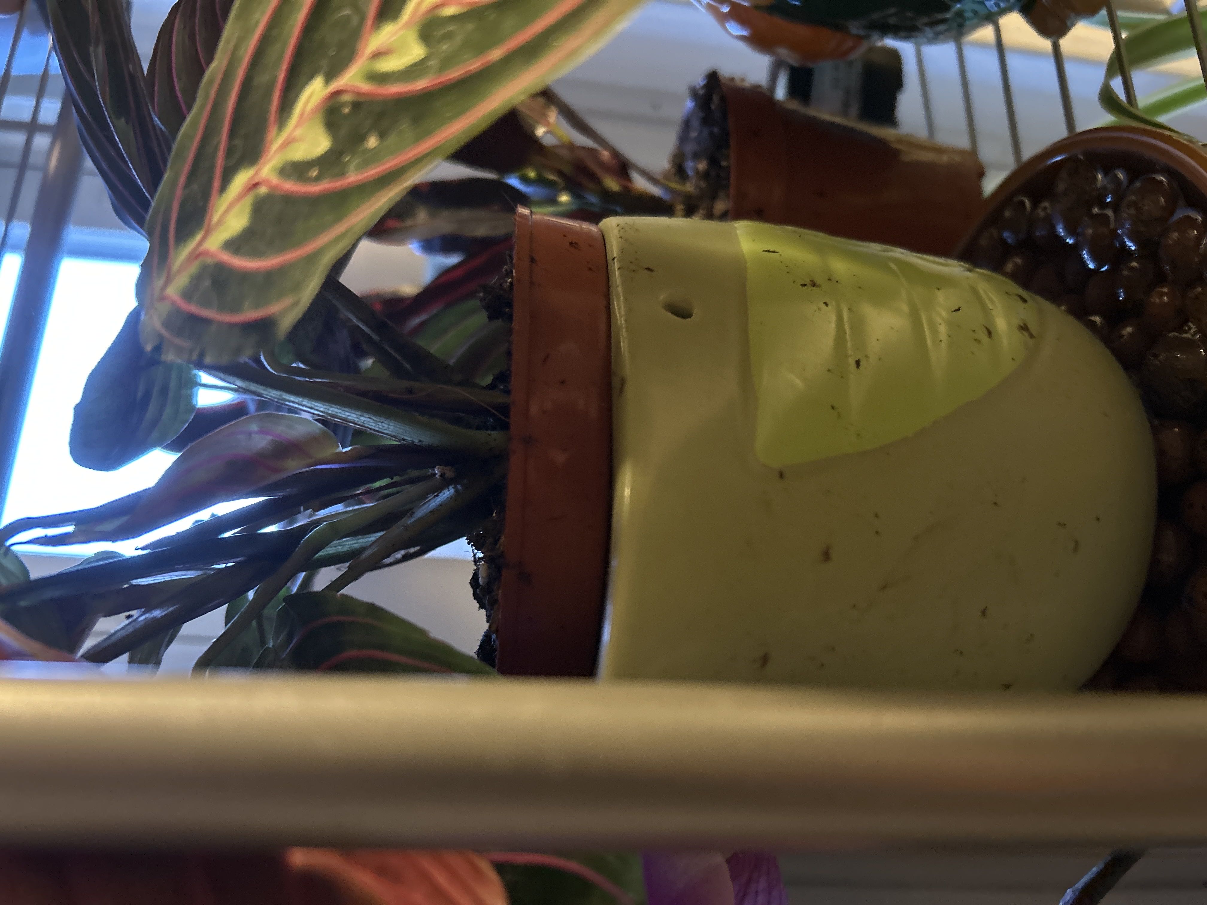 Photo from the post