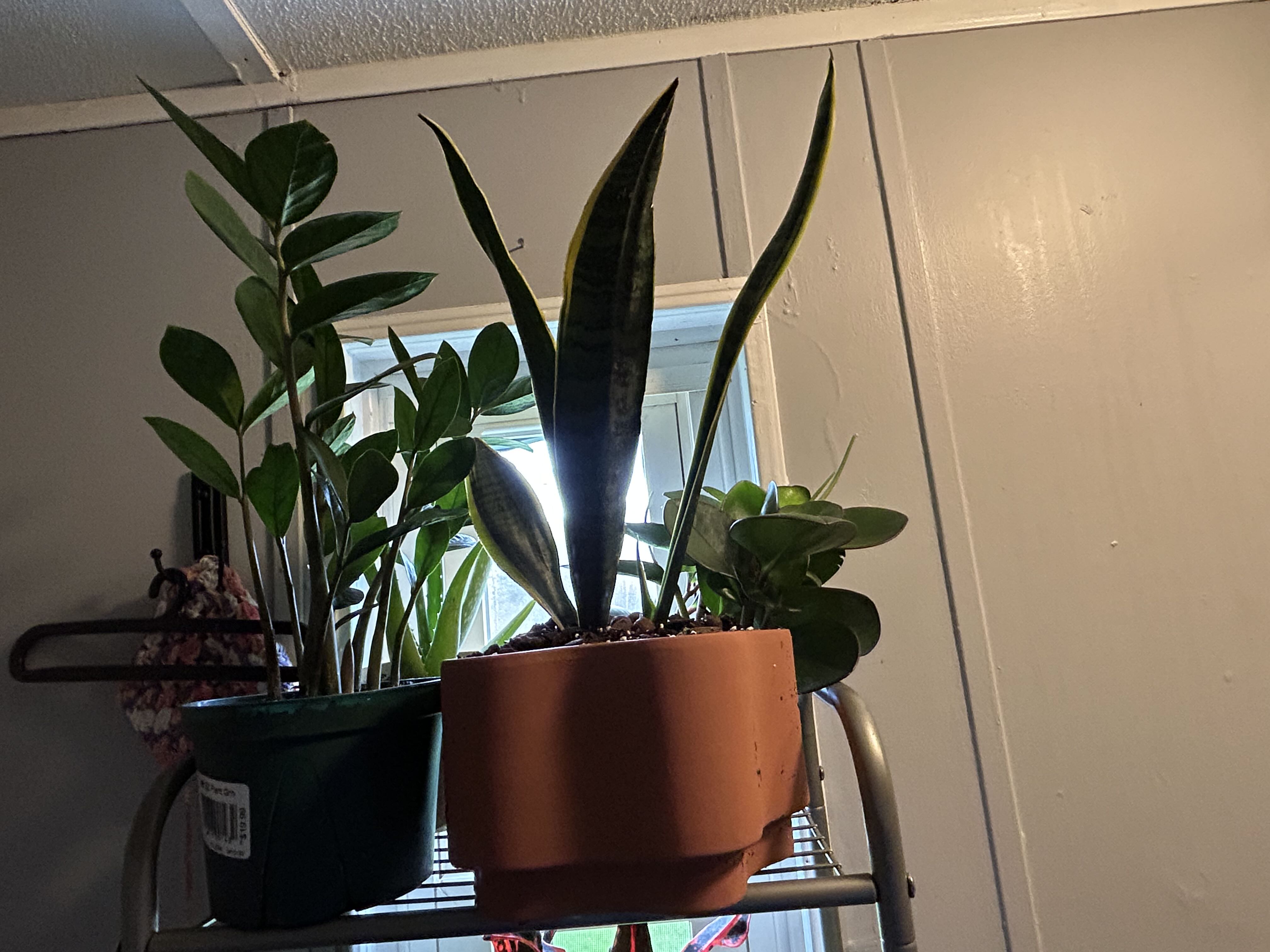 Photo from the post
