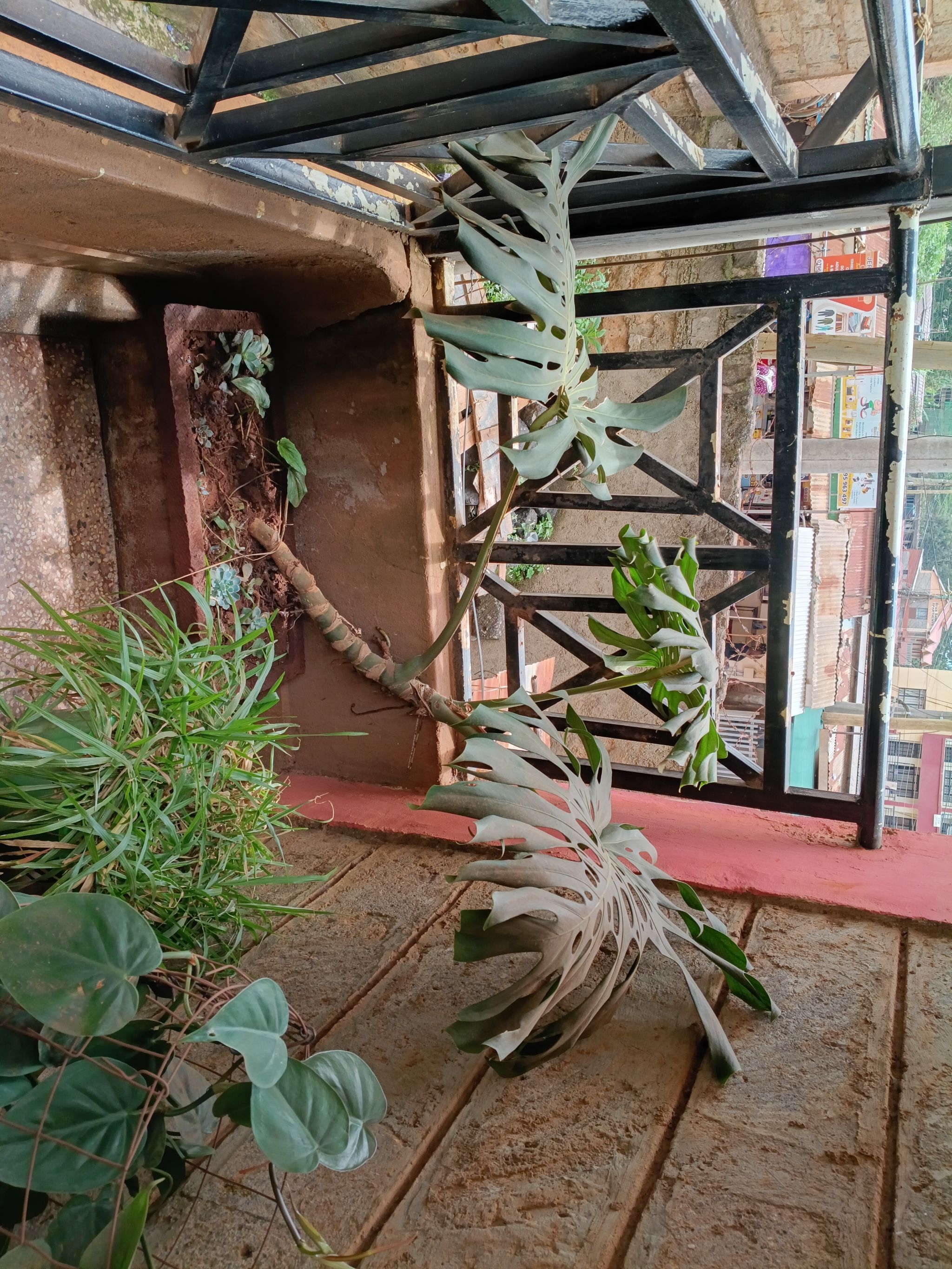 Photo from the post