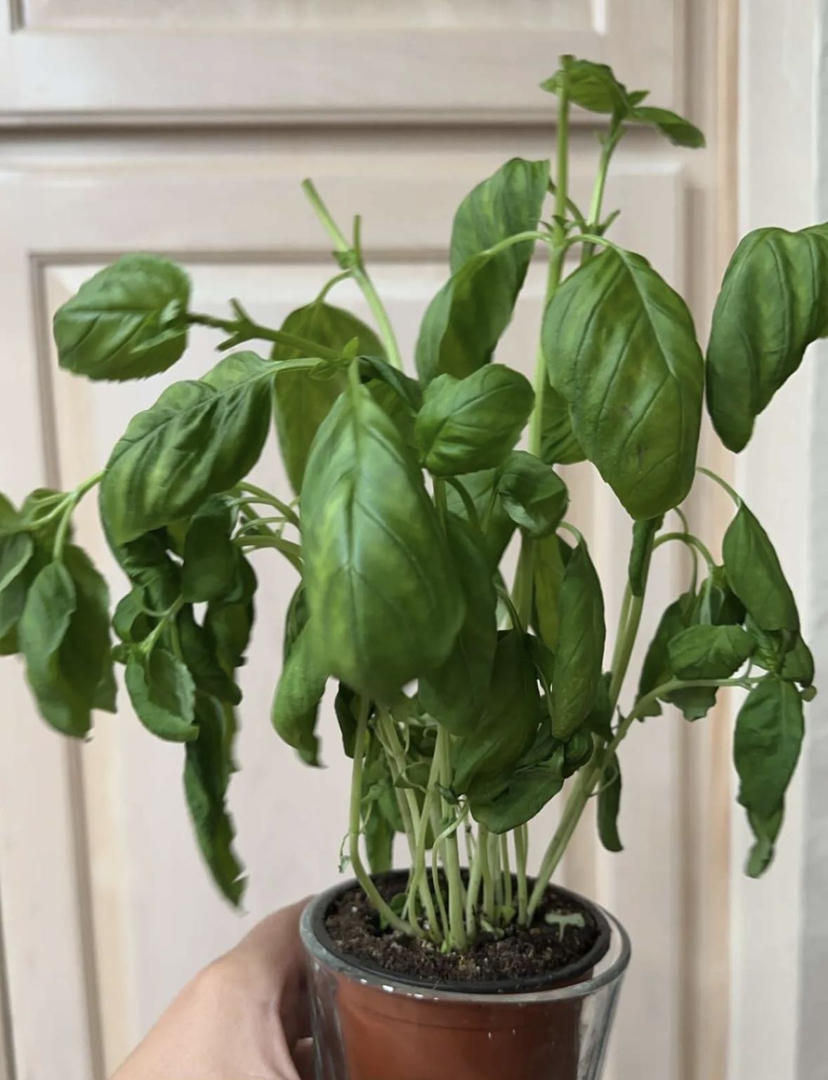Photo from the post
