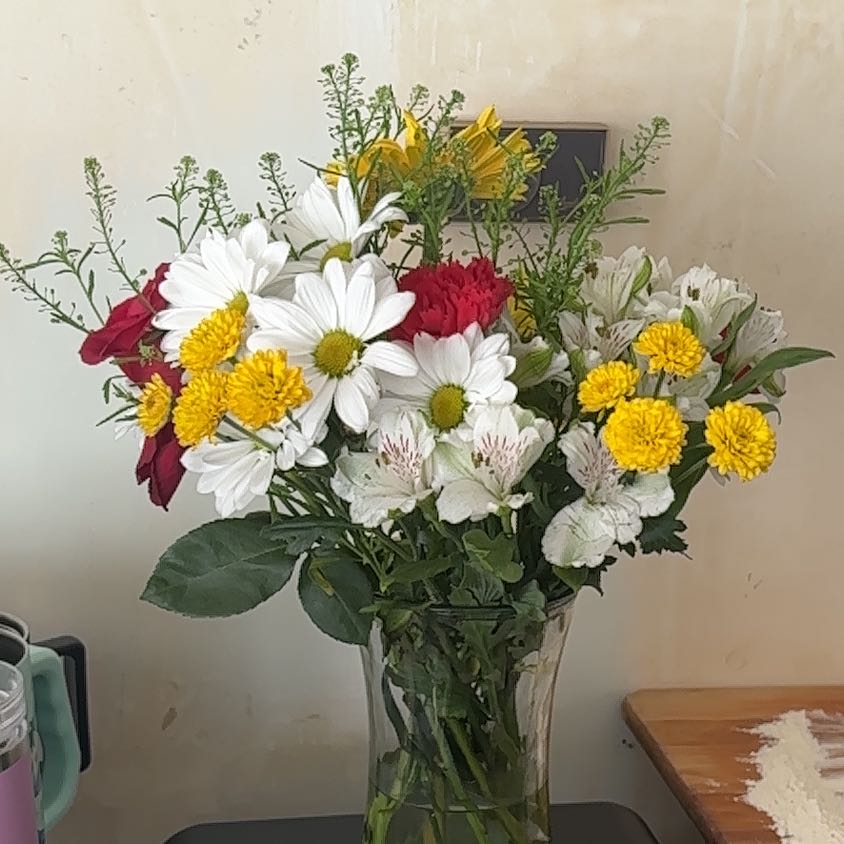 Photo of the plant species Callistephus Chinensis by @MaturingBonsi34 named Daphne on Greg, the plant care app