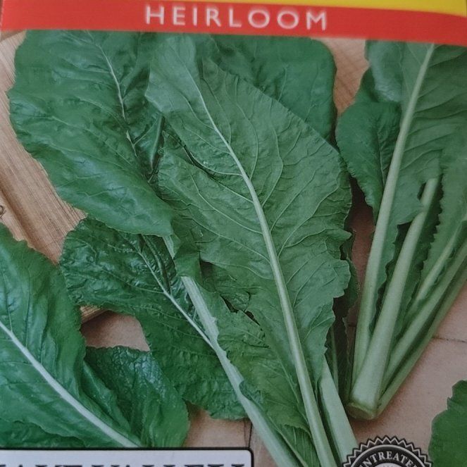 Photo of the plant species Chinese Mustard by @dmars7000 named Pax on Greg, the plant care app