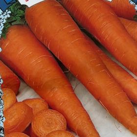 Photo of the plant species Danvers 126 Half Long Carrot by @mels.market.ky named Scarlett on Greg, the plant care app