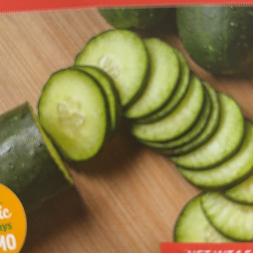 Photo of the plant species Cucumber 'Marketmore 76' by @mels.market.ky named Sage on Greg, the plant care app