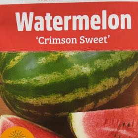 Photo of the plant species Crimson Sweet Watermelon by @mels.market.ky named Aria on Greg, the plant care app