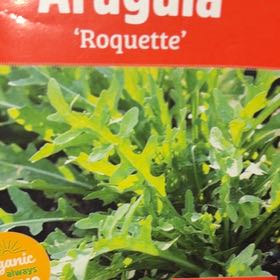 Photo of the plant species arugula by @mels.market.ky named Gates on Greg, the plant care app