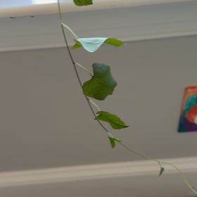 Photo of the plant species Yellow Passionflower by @PapaPothos named da Vinci on Greg, the plant care app