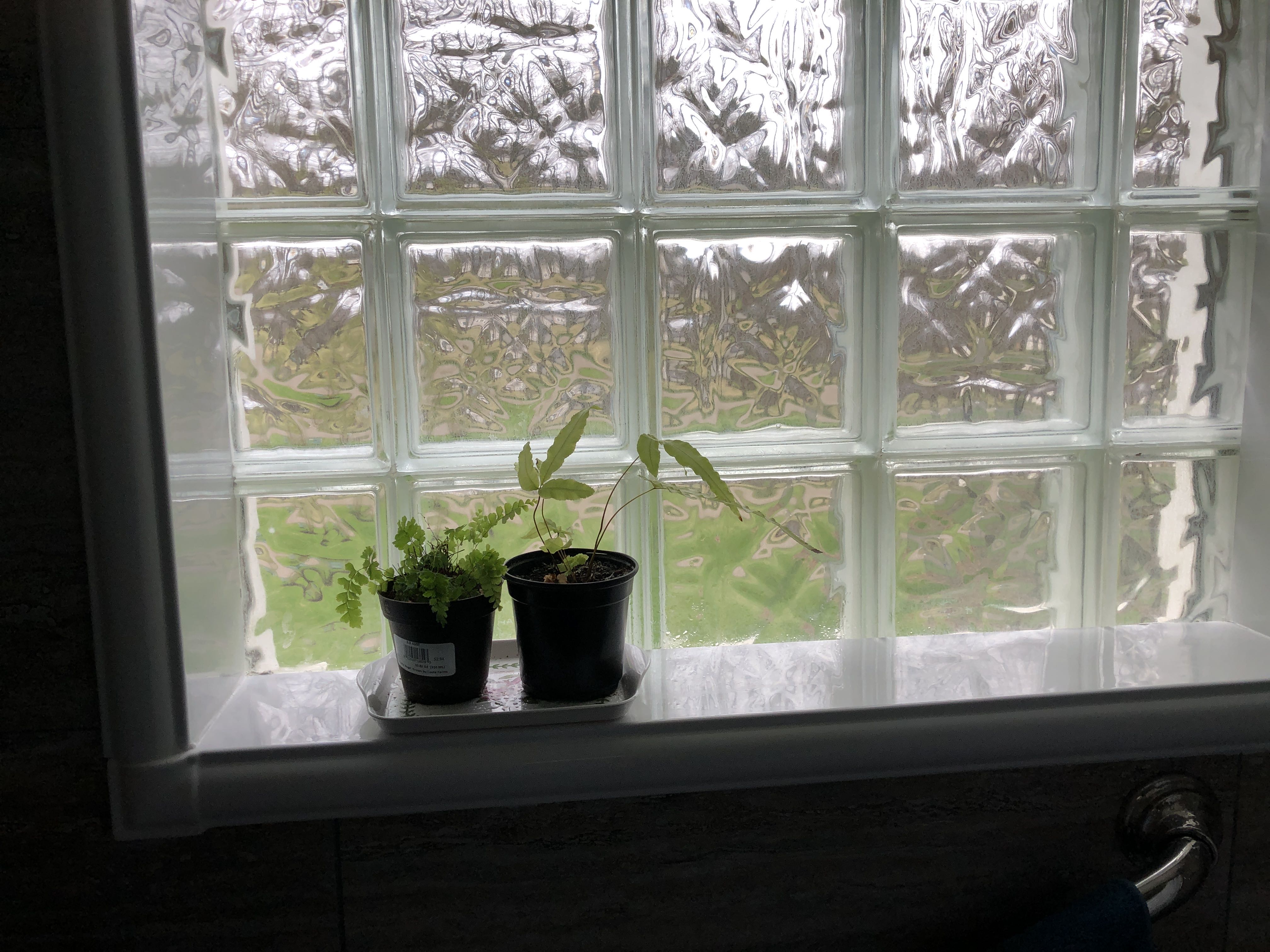 Photo from the post
