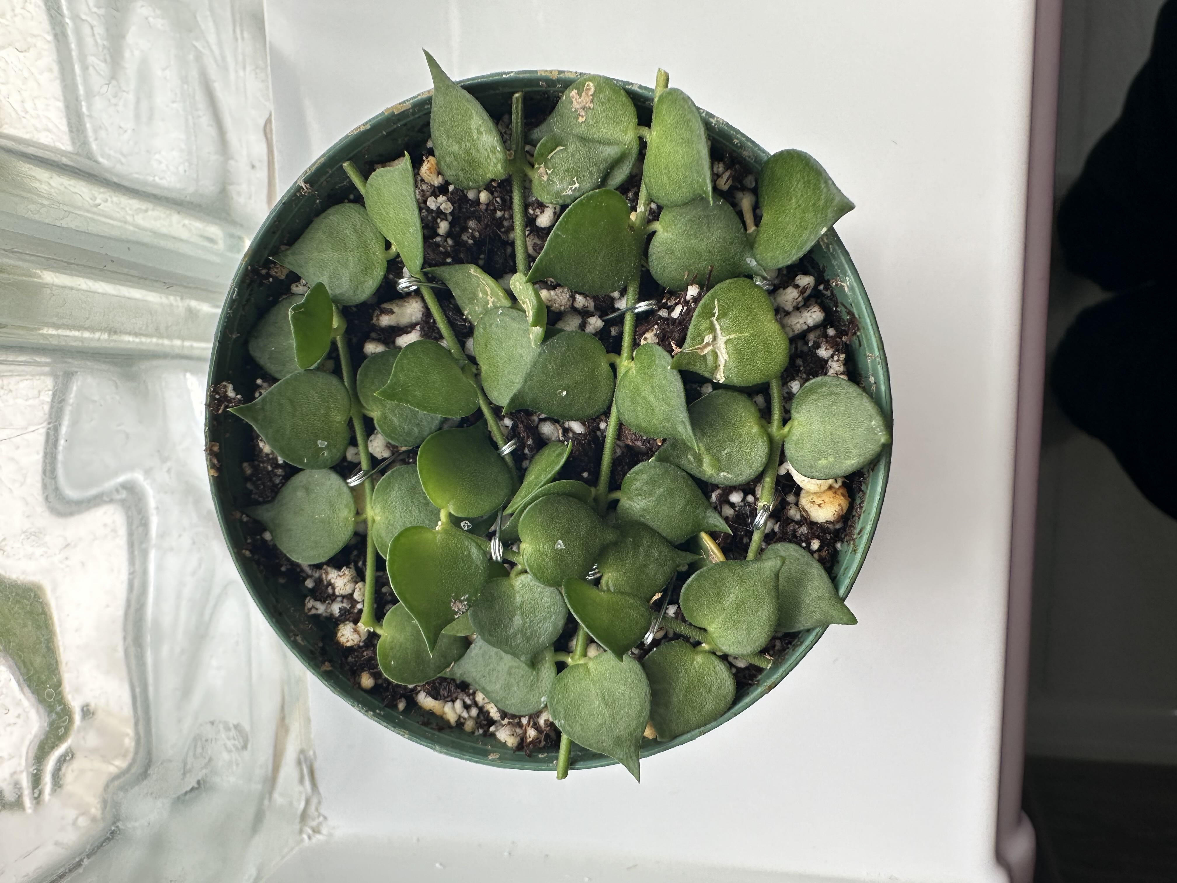 Photo from the post