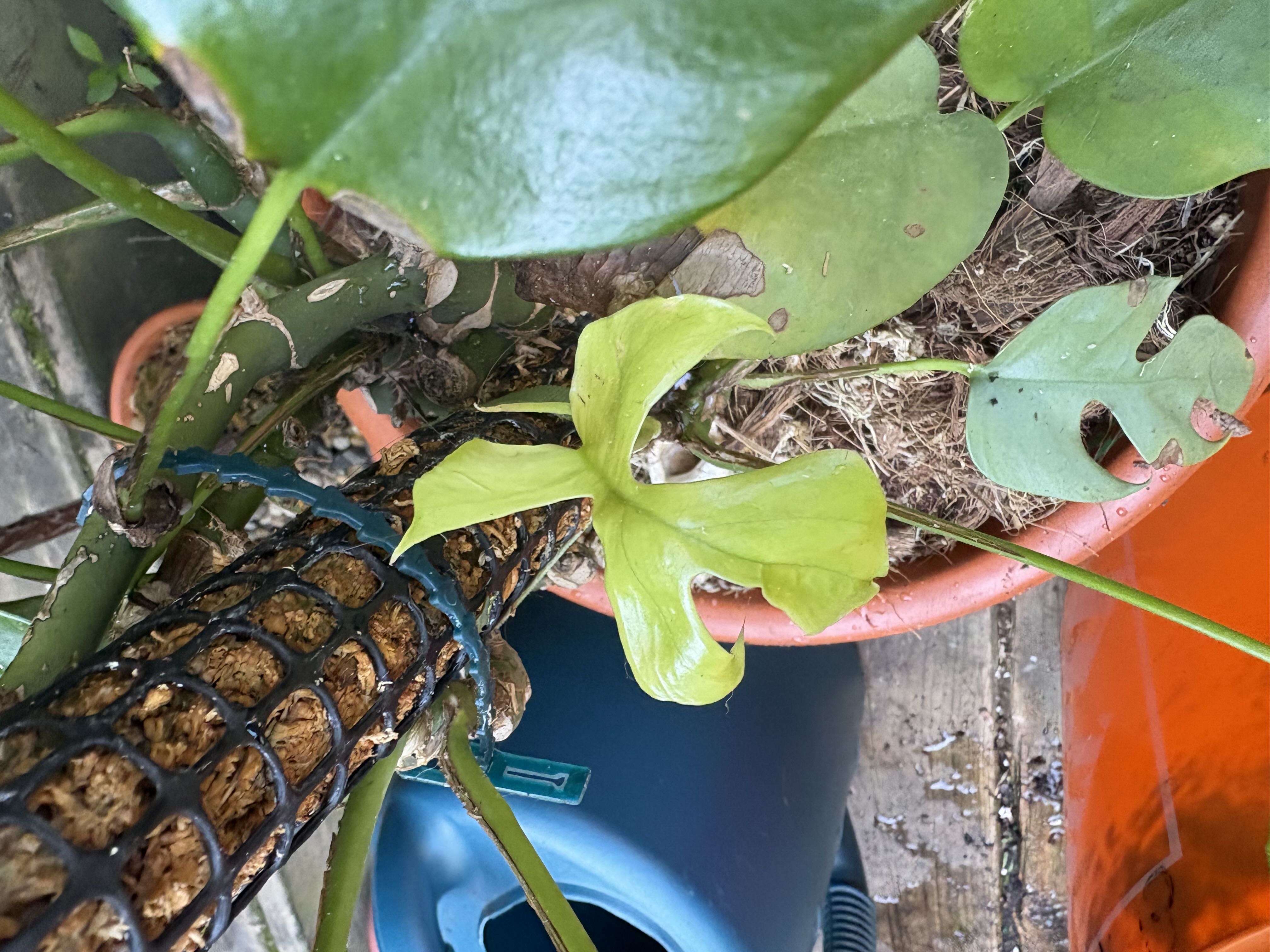 Photo from the post
