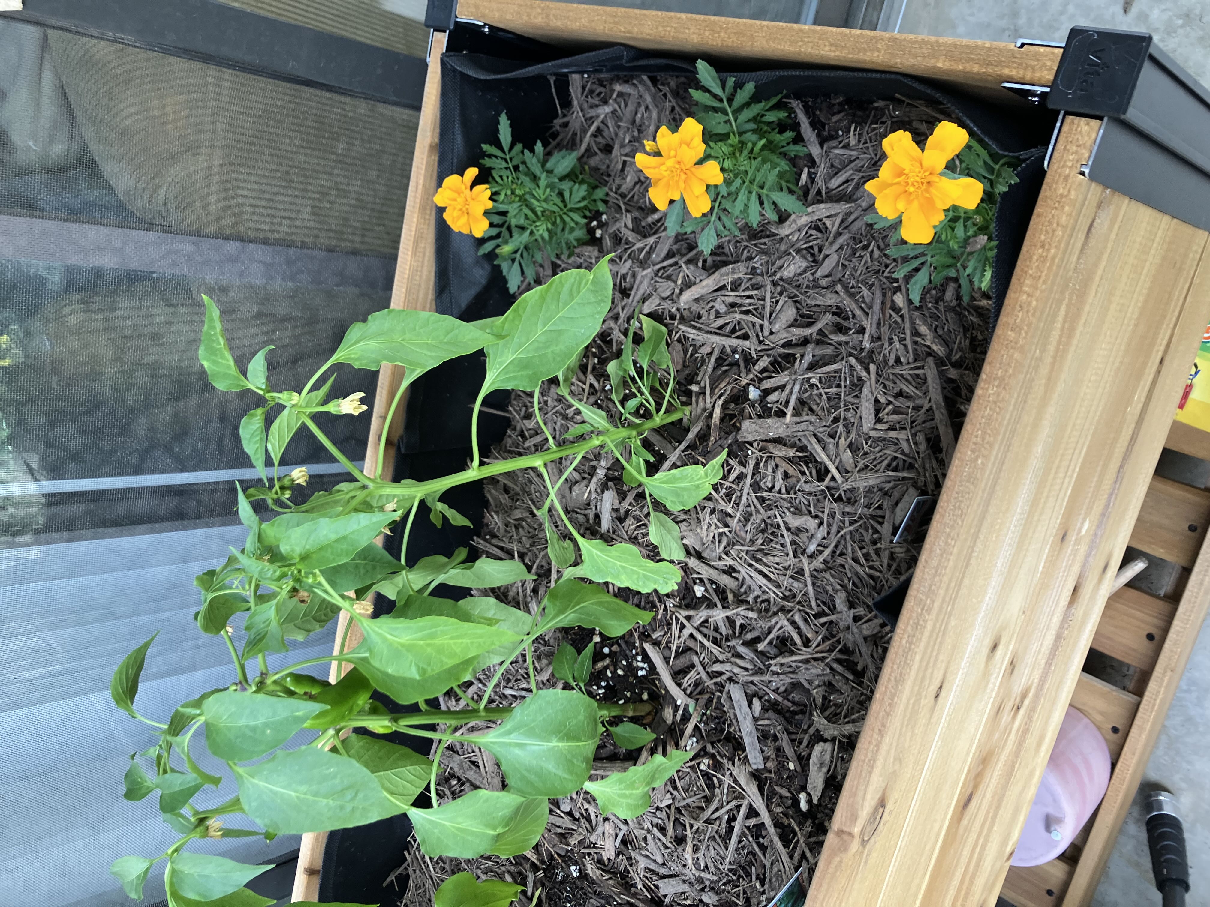 Photo from the post