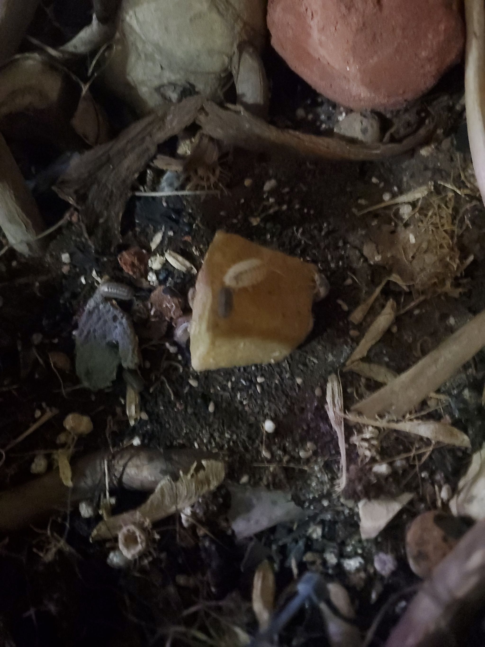 Photo from the post