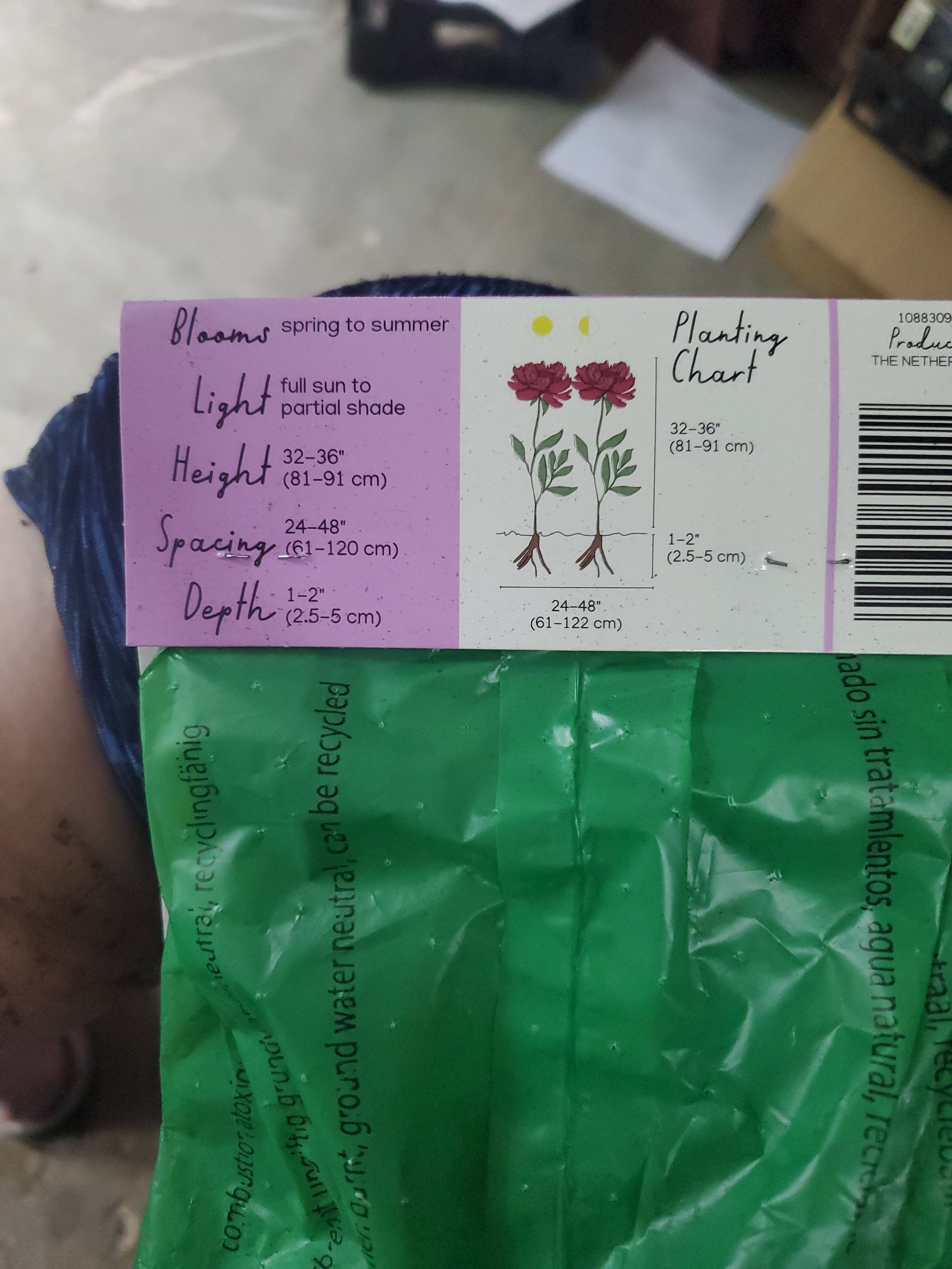Photo from the post