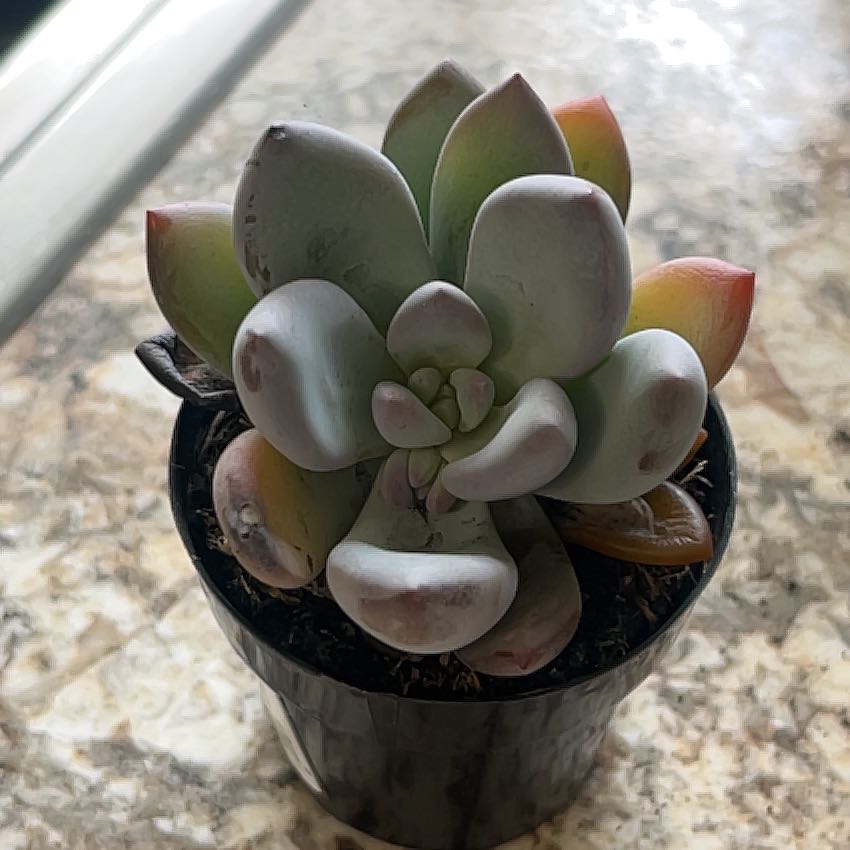 April