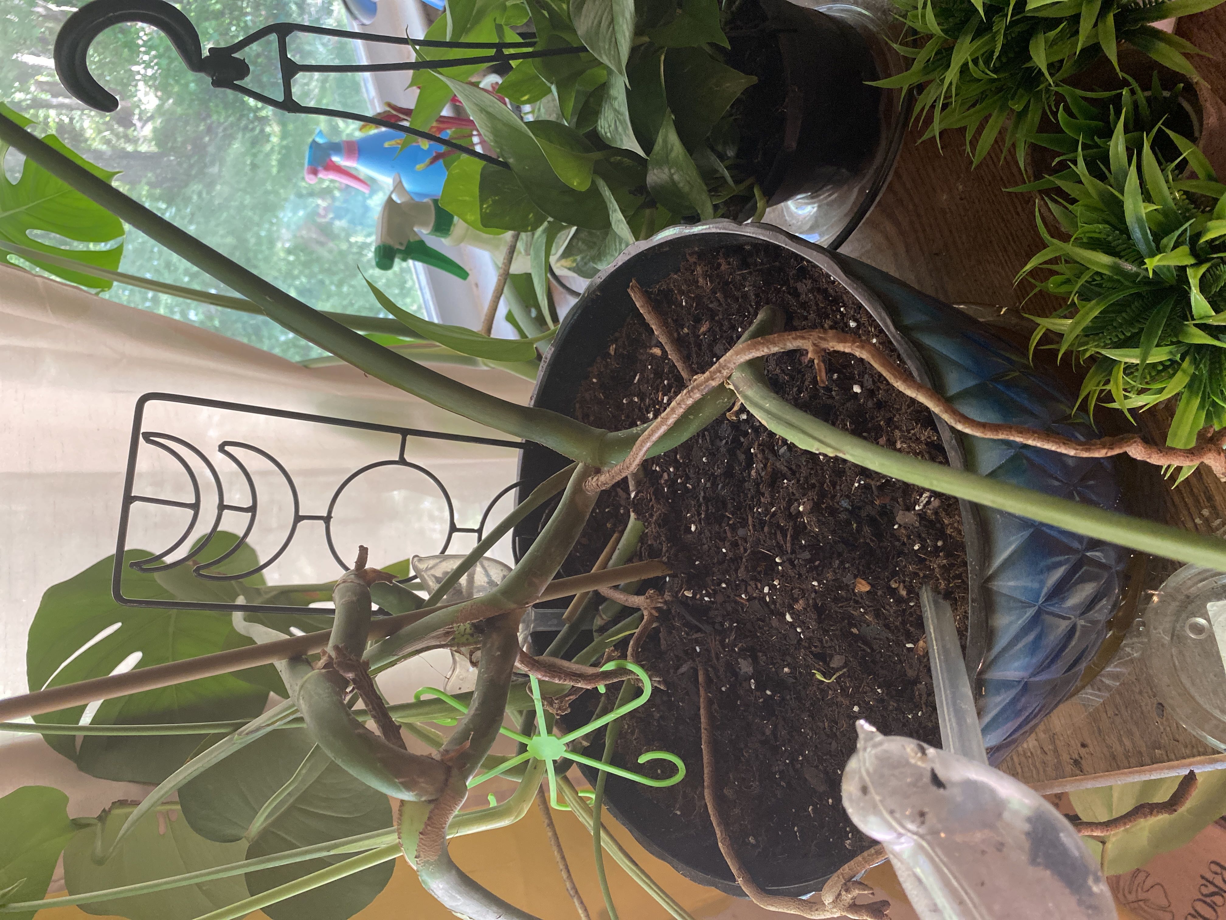 Photo from the post