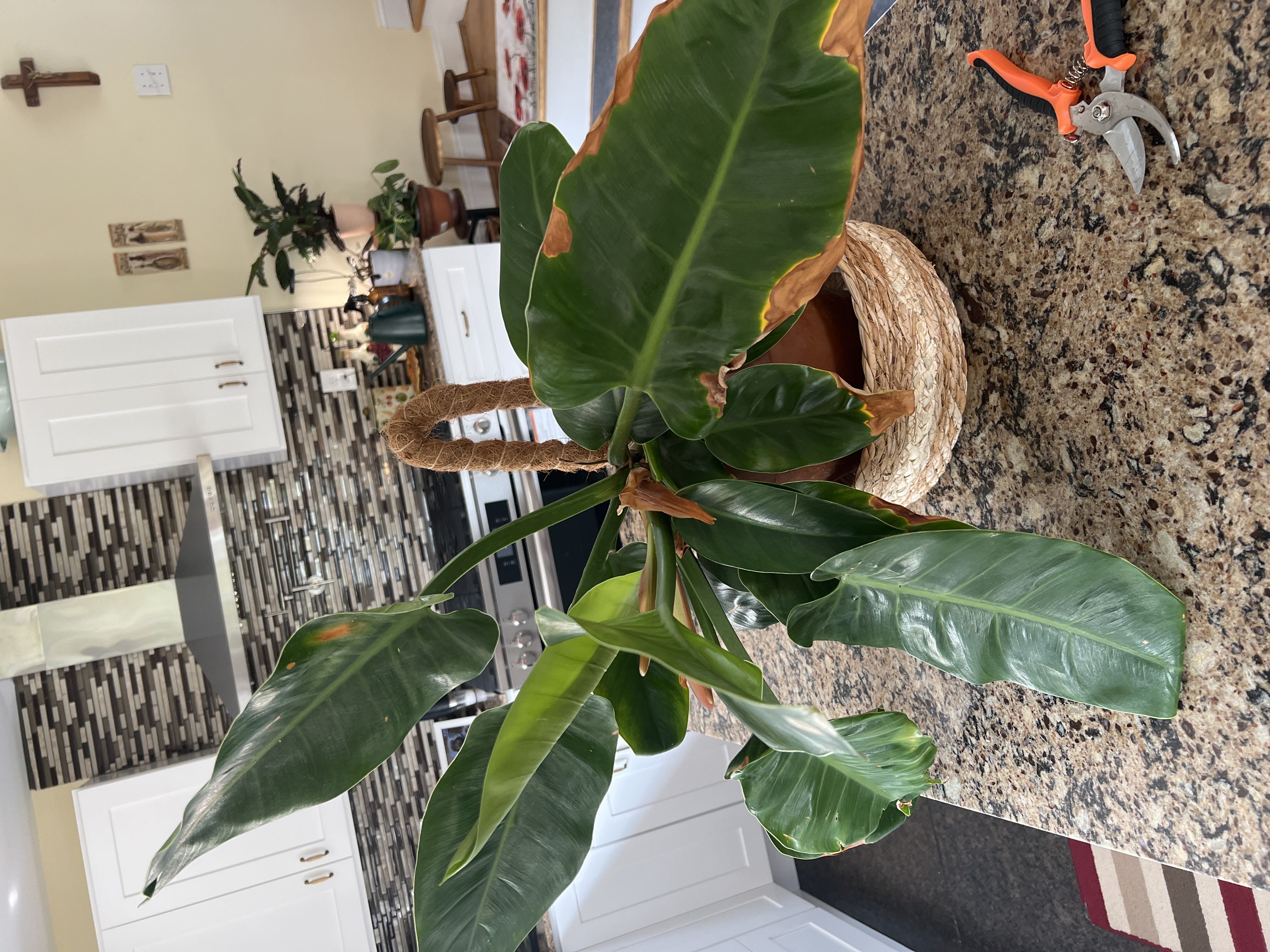 Photo from the post