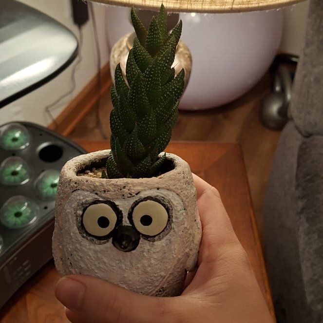 Captain Plant-it