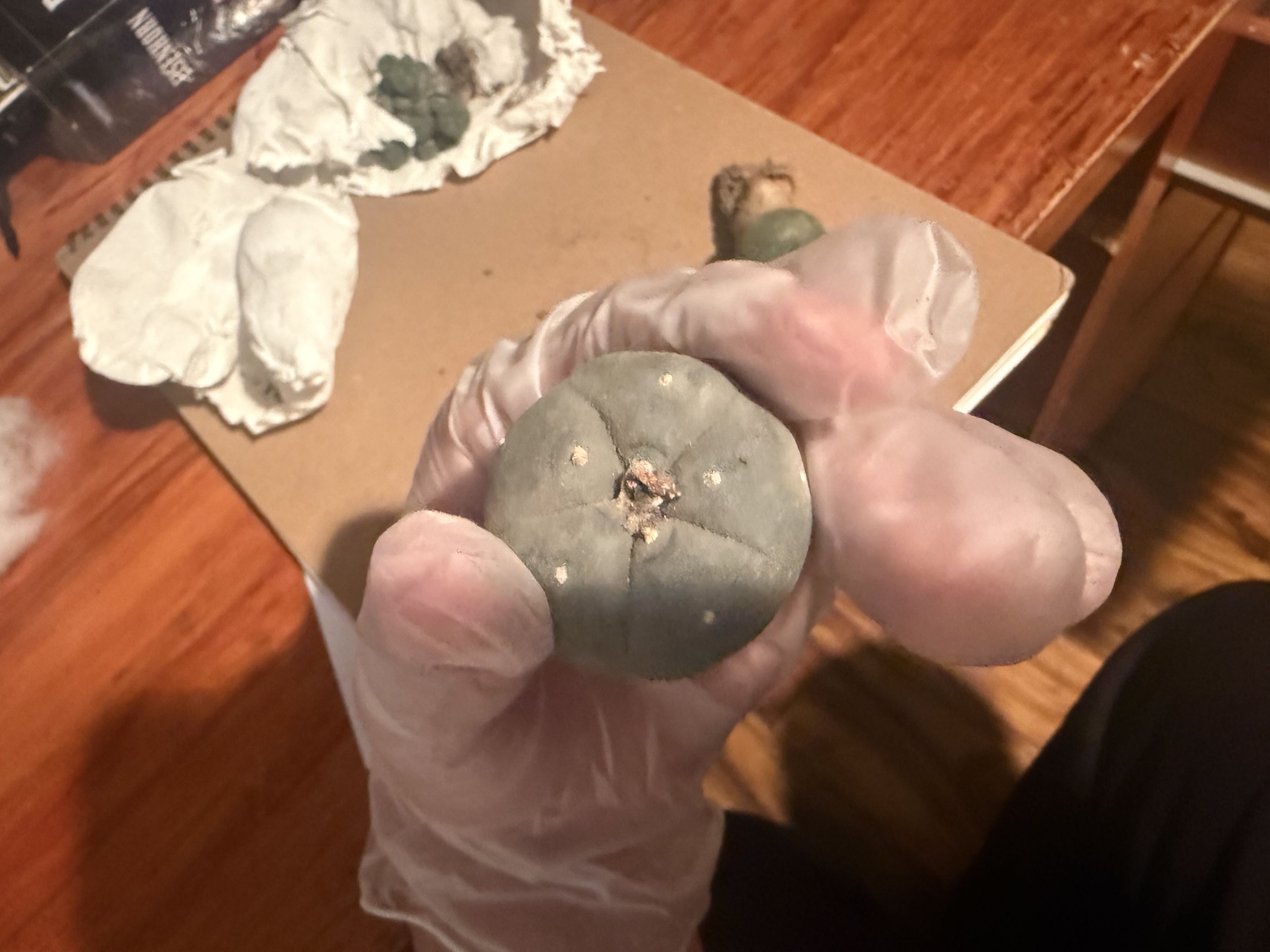 Photo from the post