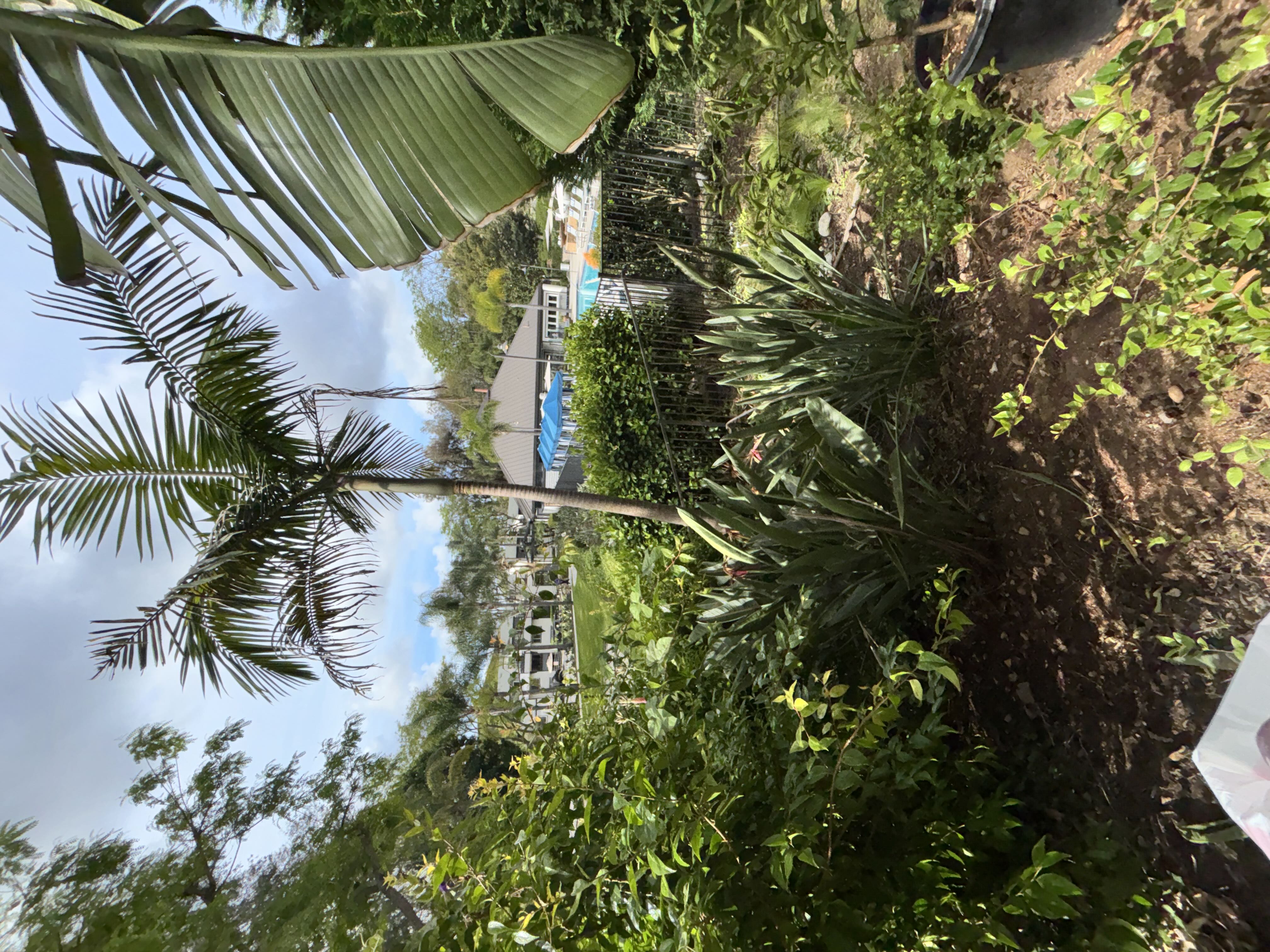 Photo from the post