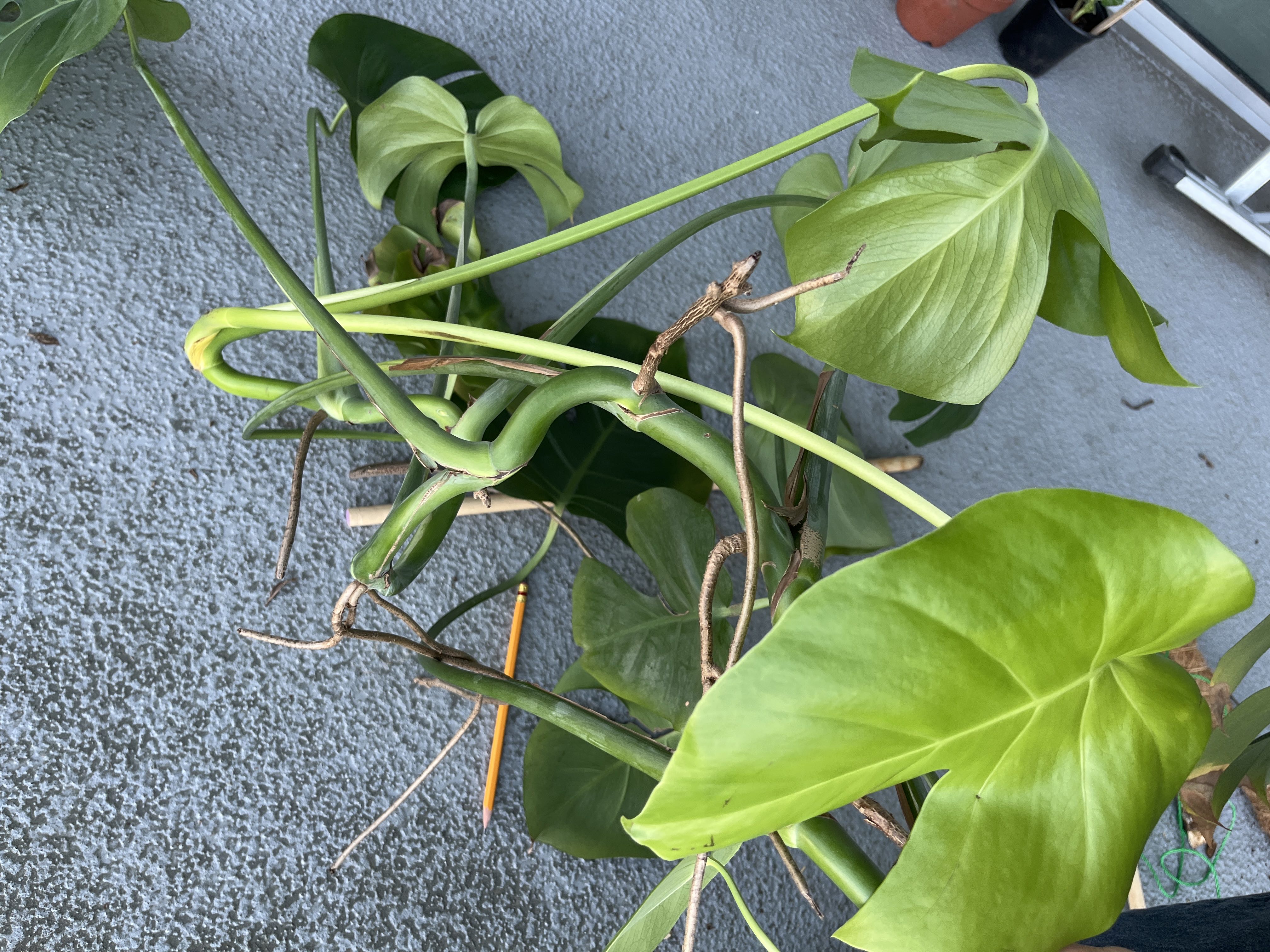 Photo from the post
