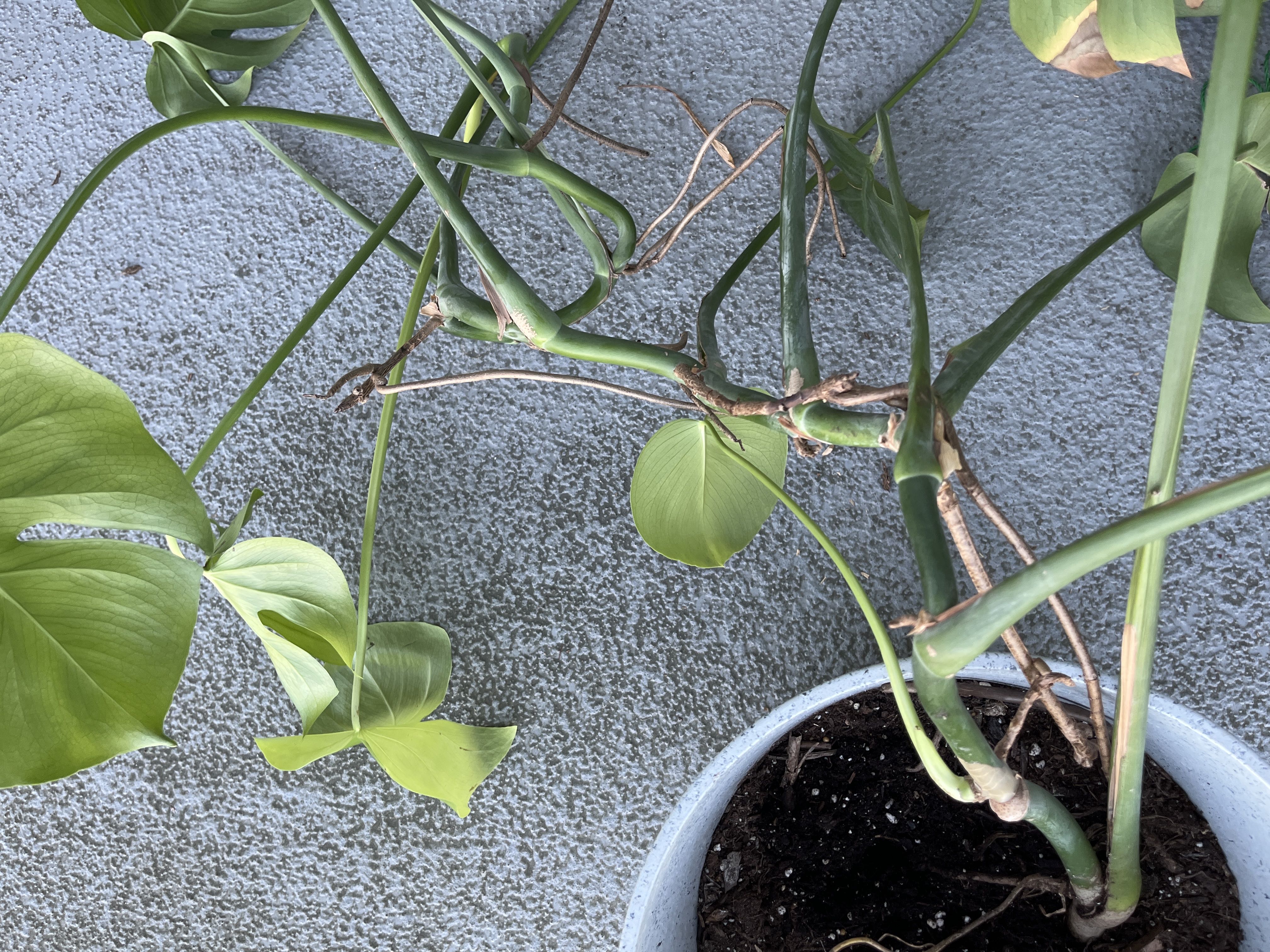 Photo from the post