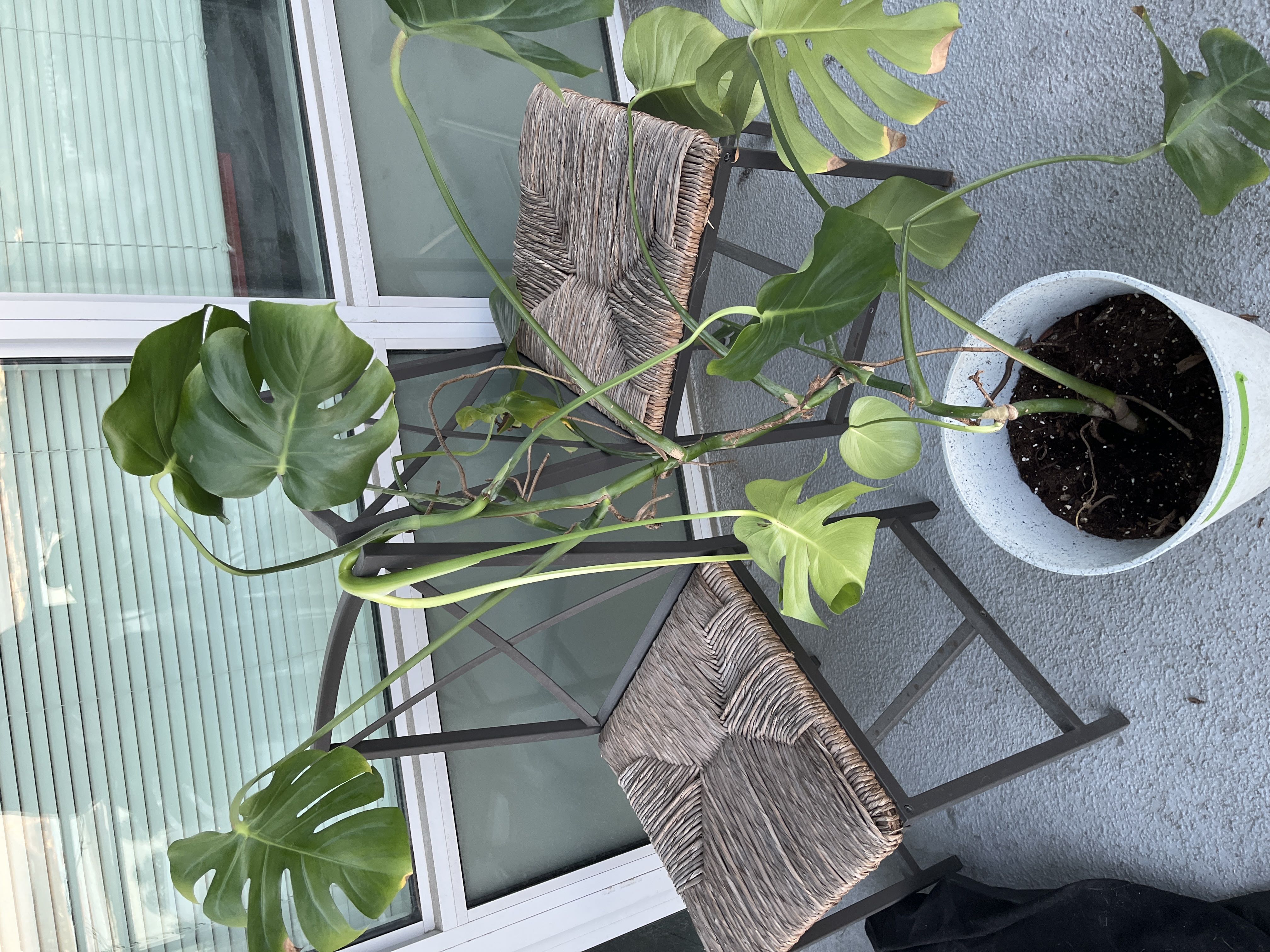 Photo from the post