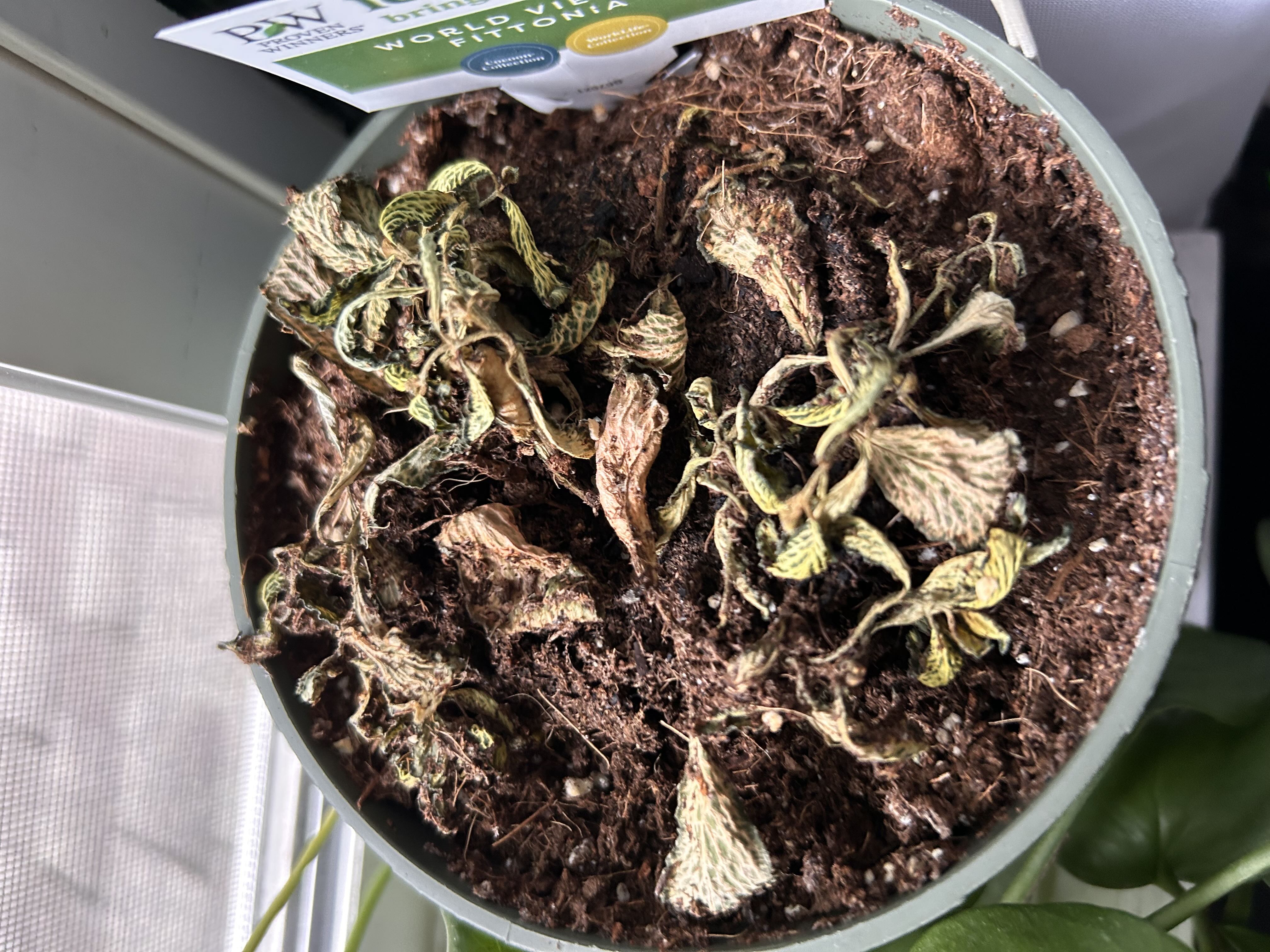 Photo from the post