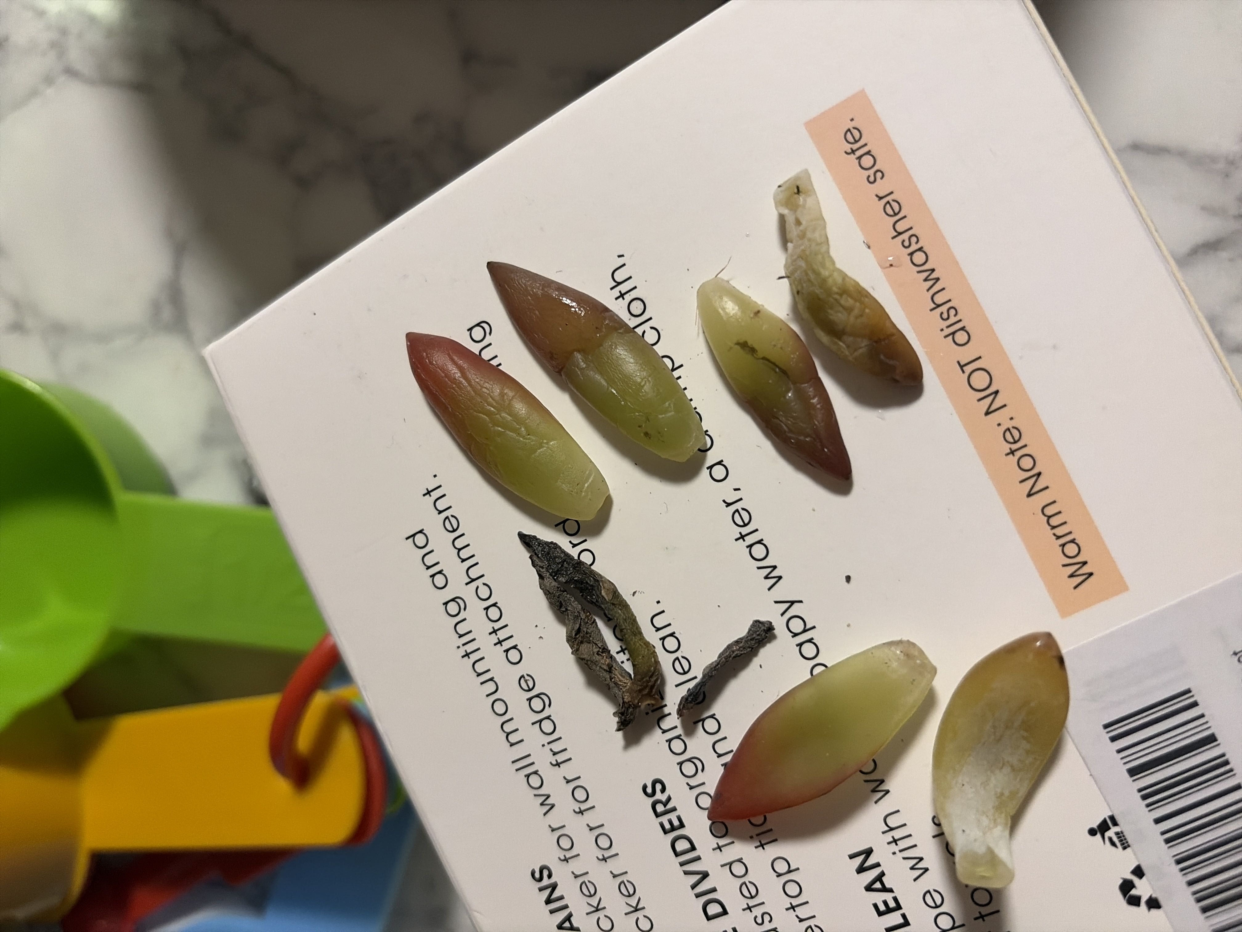Photo from the post