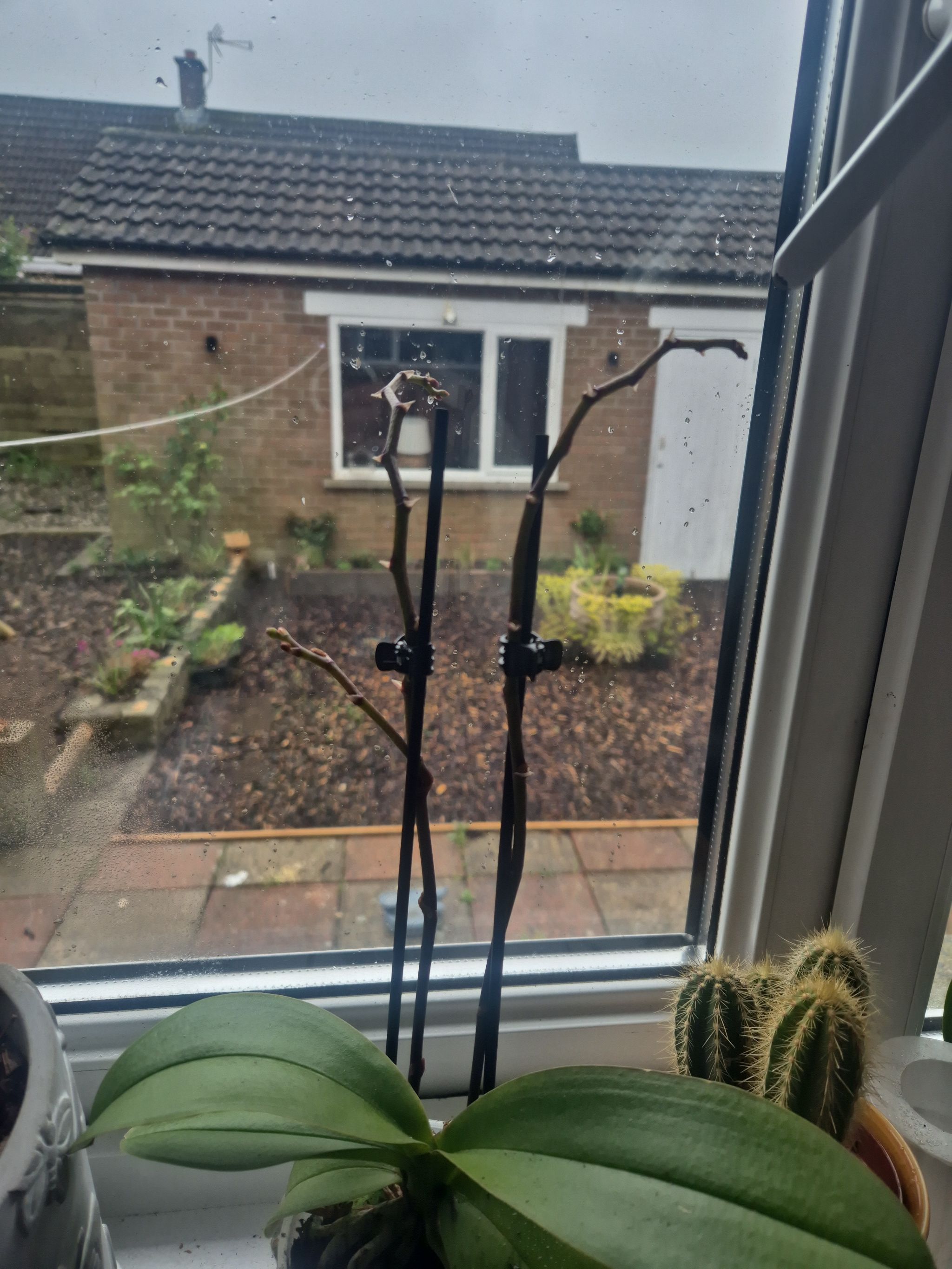 Photo from the post
